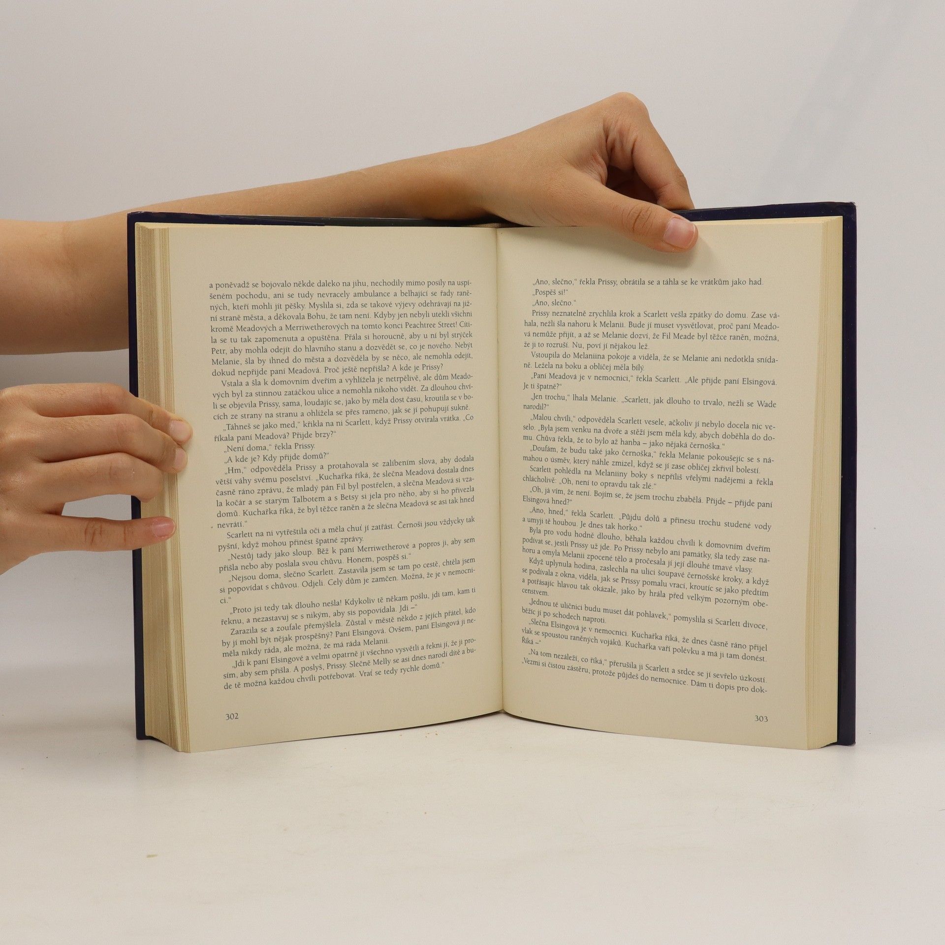 Margaret Mitchell Jih proti Severu I
