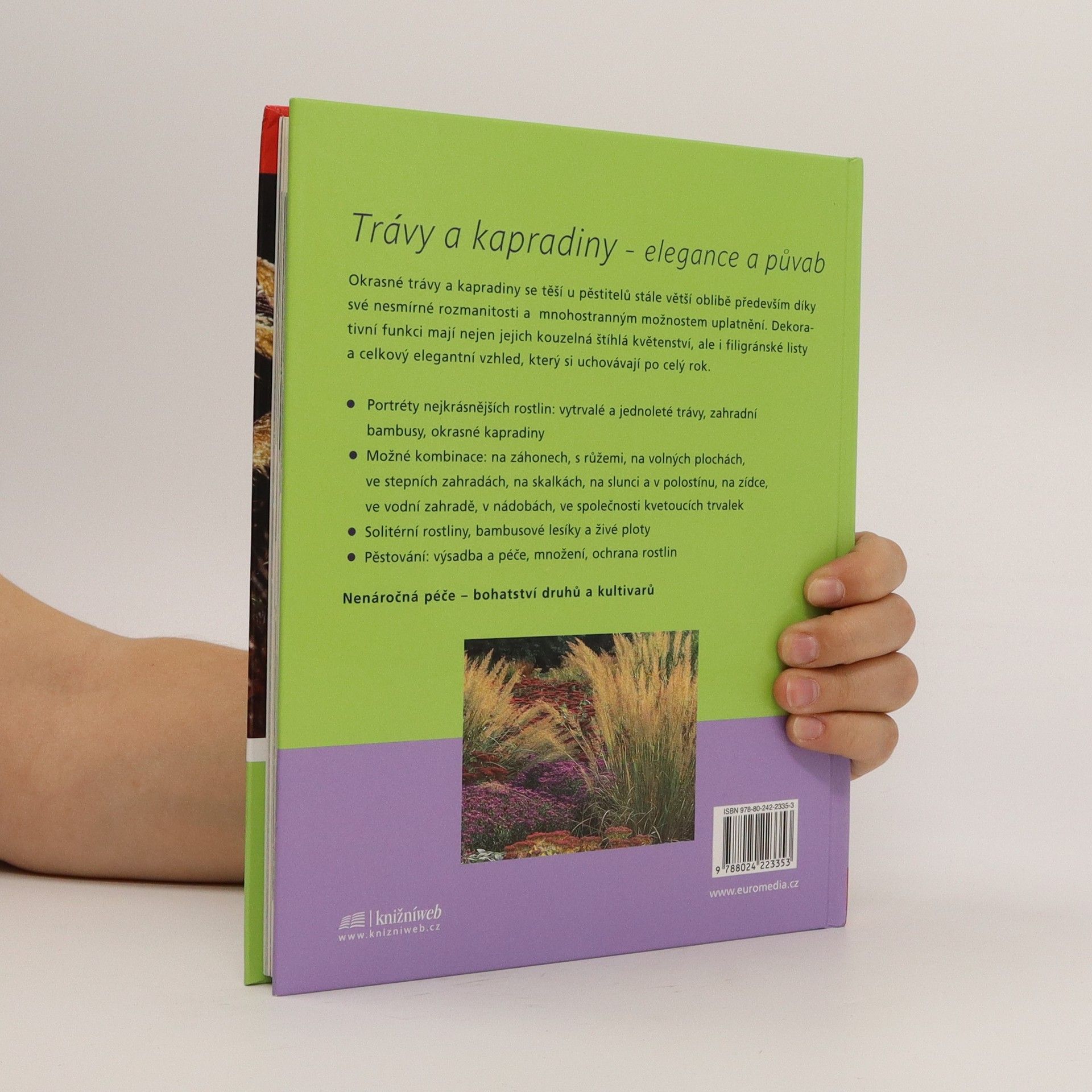 Ulrike Leyhe Trávy a kapradiny