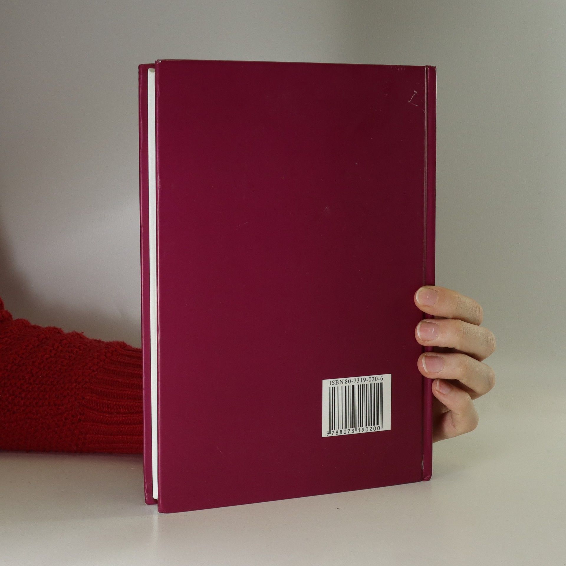 Ladislava Lederbuchová Průvodce literárním dílem: Výkladový slovník základních pojmů literární teorie