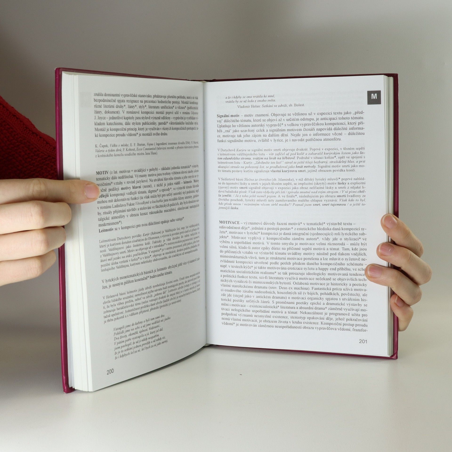 Ladislava Lederbuchová Průvodce literárním dílem: Výkladový slovník základních pojmů literární teorie