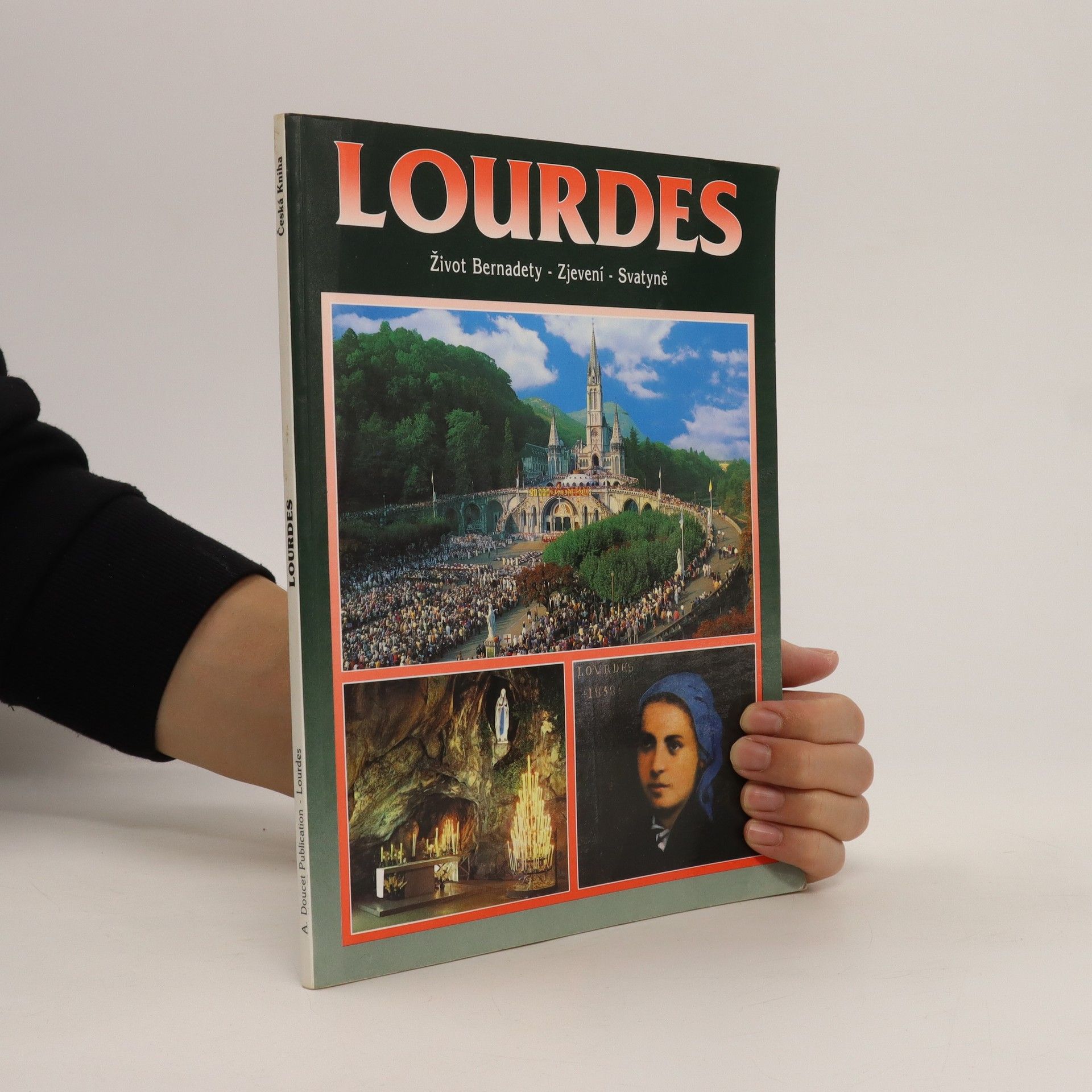 Collectif d'auteurs Lourdes