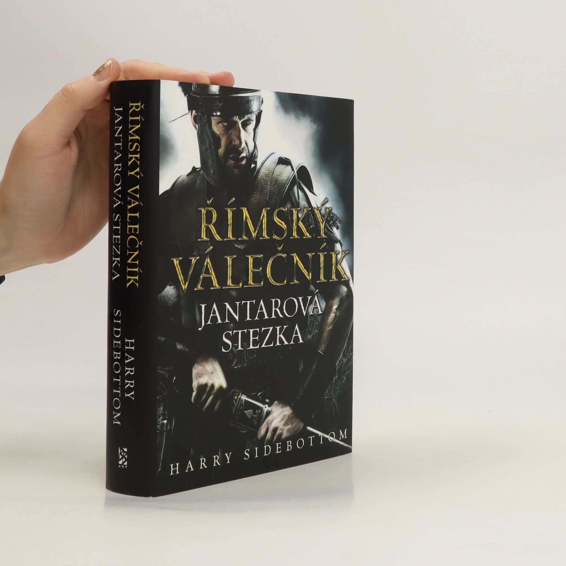 Harry Sidebottom Římský válečník. Jantarová stezka