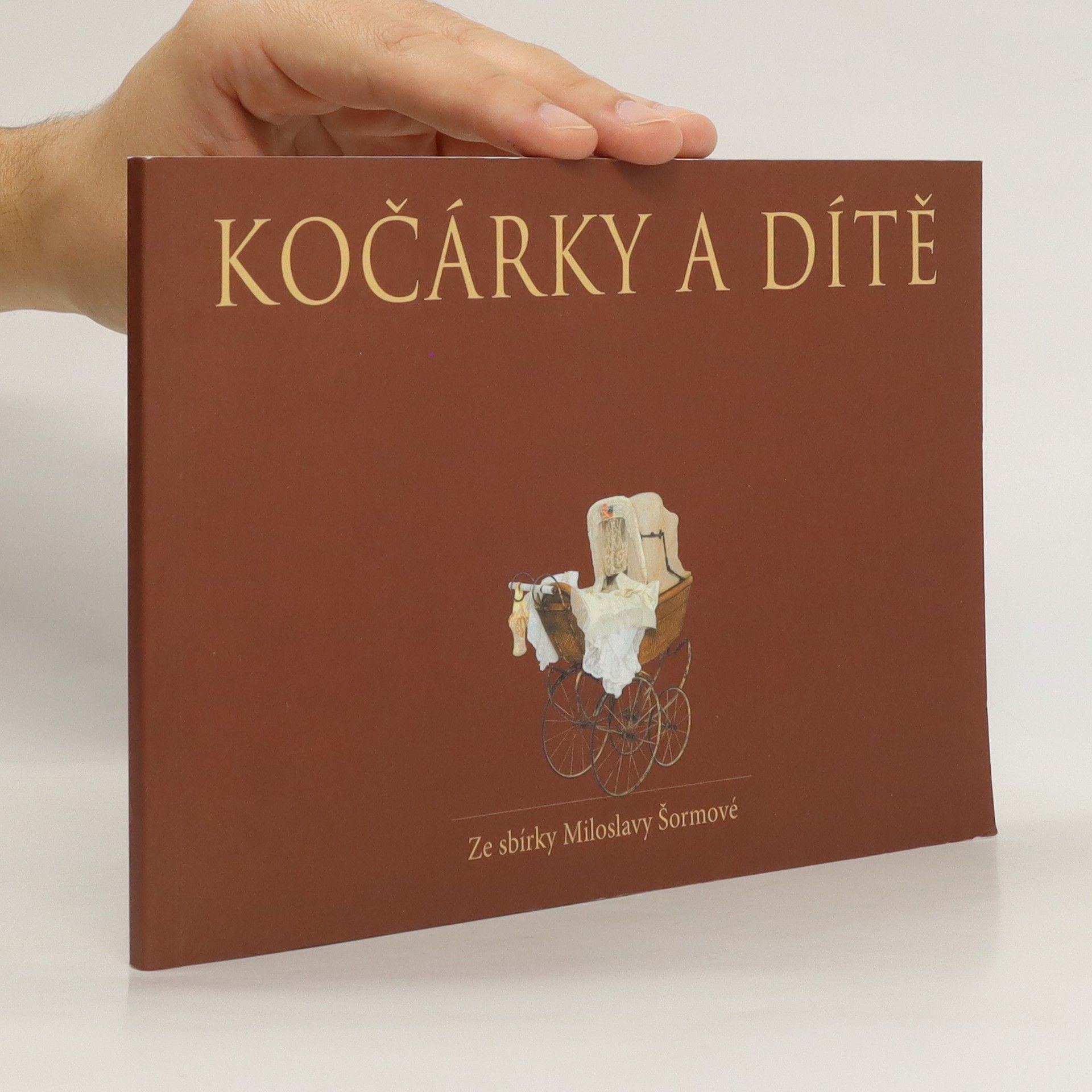 Miloslava Šormová Kočárky a dítě : ze sbírky Miloslavy Šormové