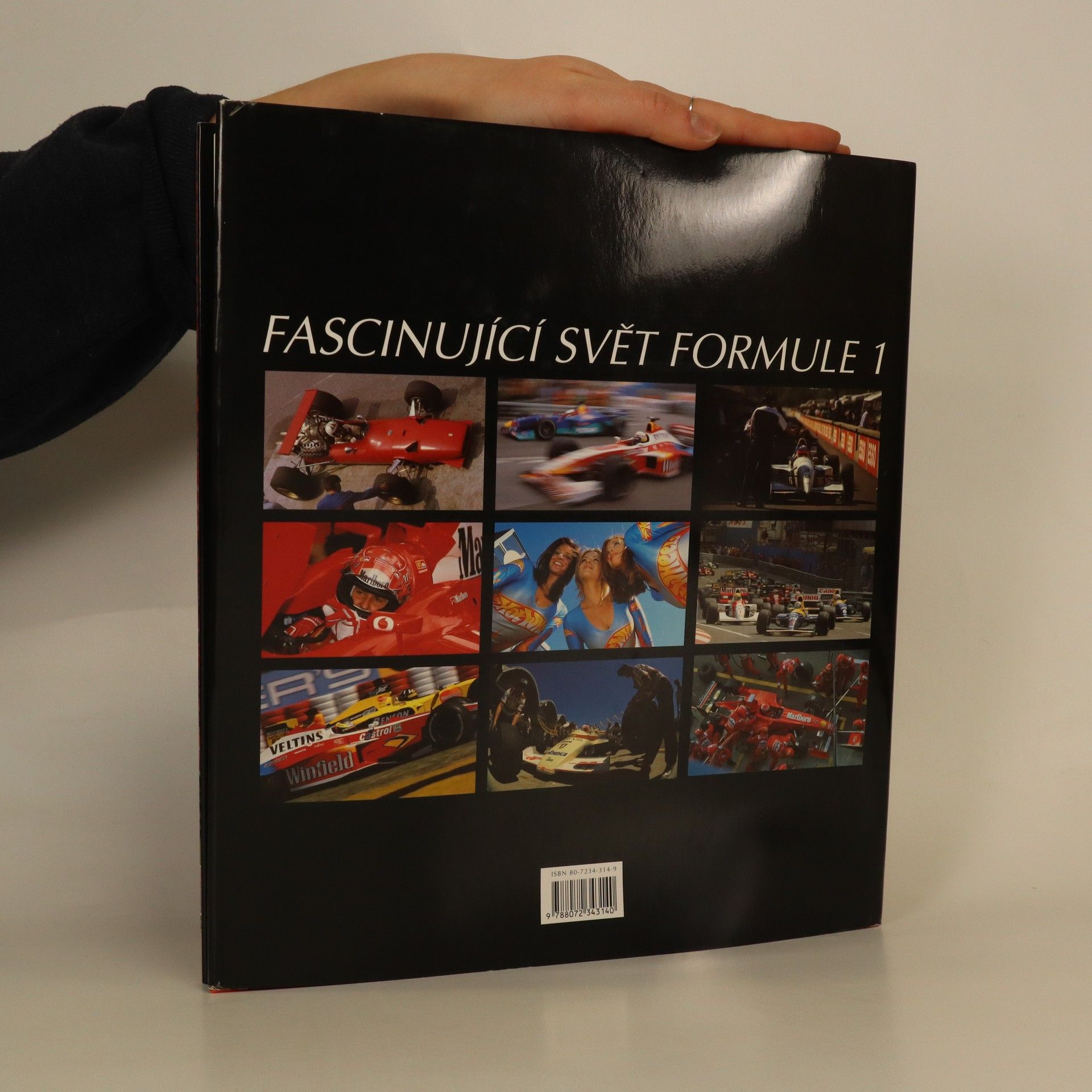 Paolo D'Alessio Fascinující svět Formule 1
