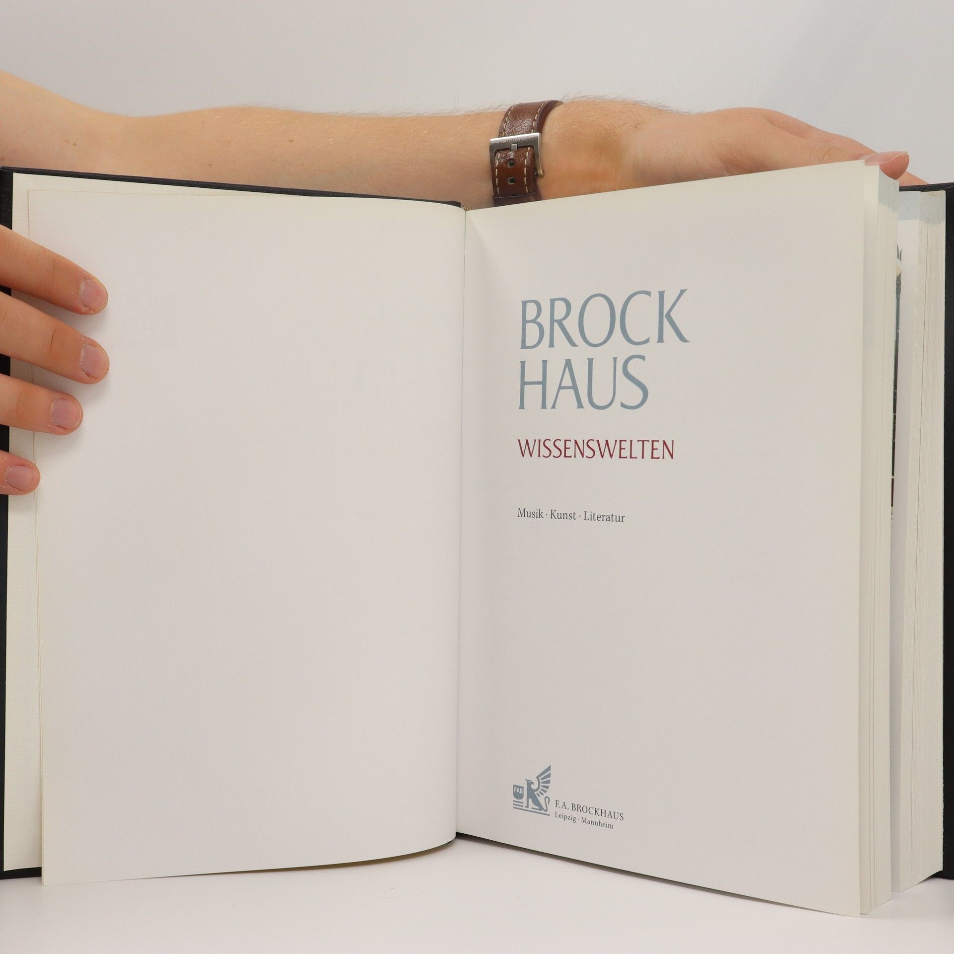 Autorenkollektiv Brockhaus Wissenswelten