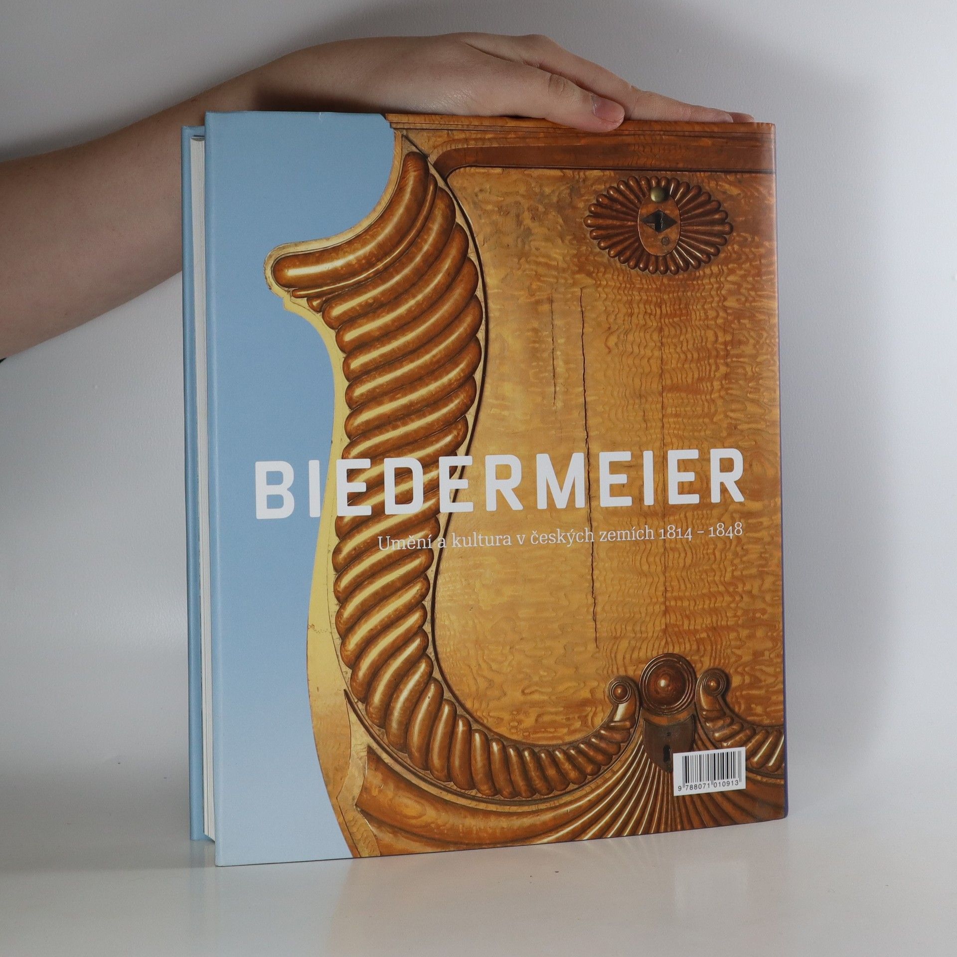 Kolektiv autorů Biedermeier: Umění a kultura v českých zemích 1814-1848