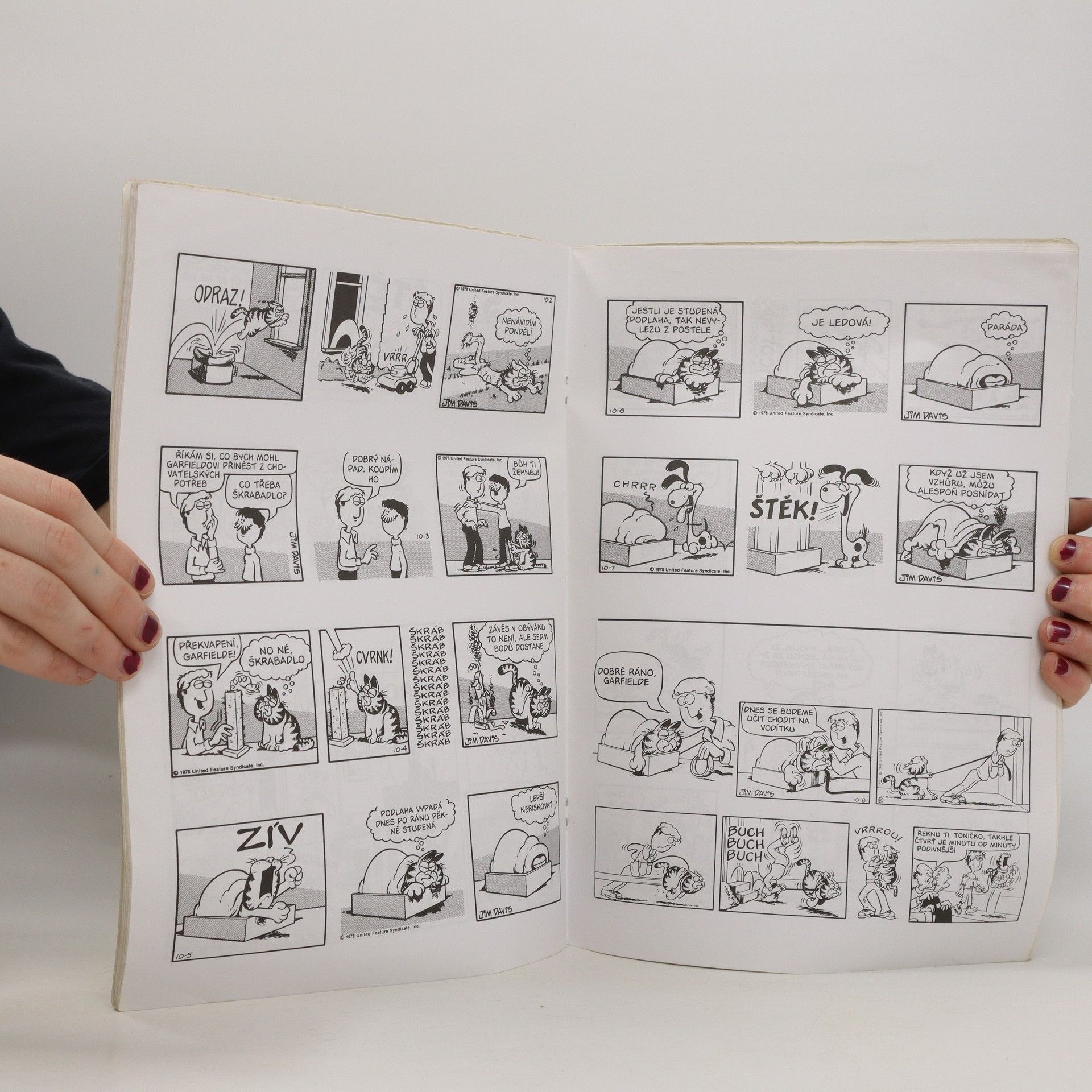 Jim Davis Garfield ve velkém