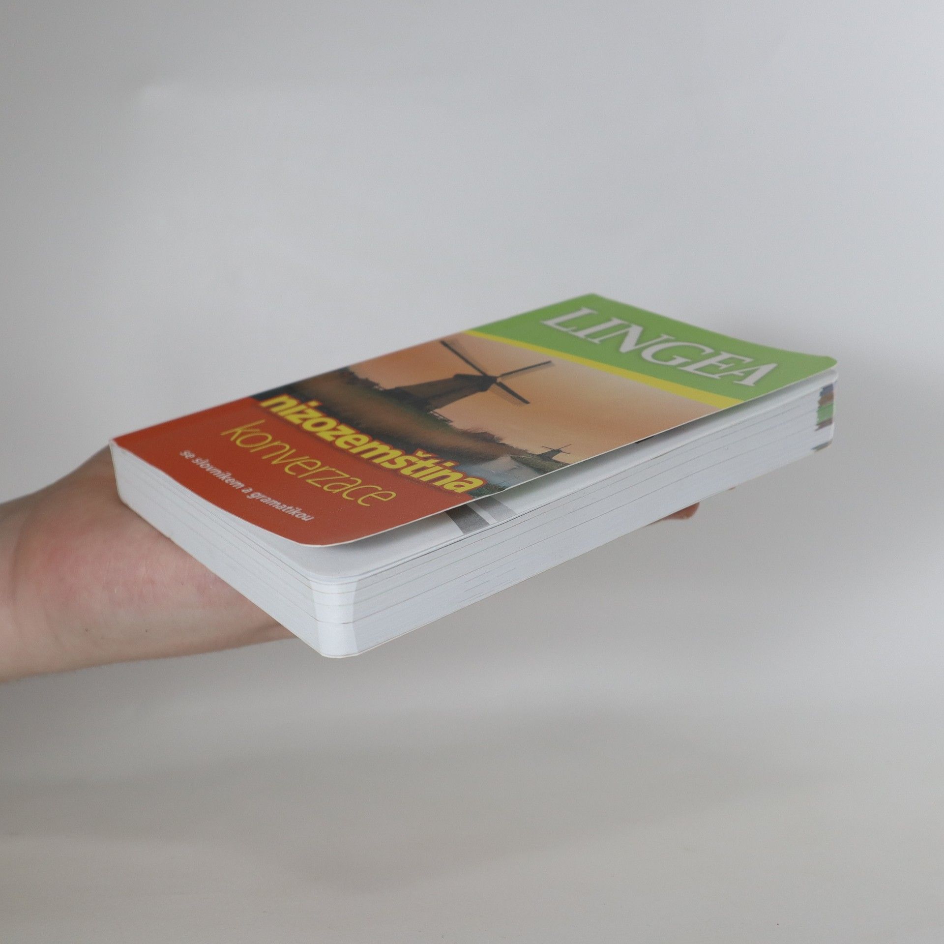 Autorenkollektiv Nizozemština. Konverzace