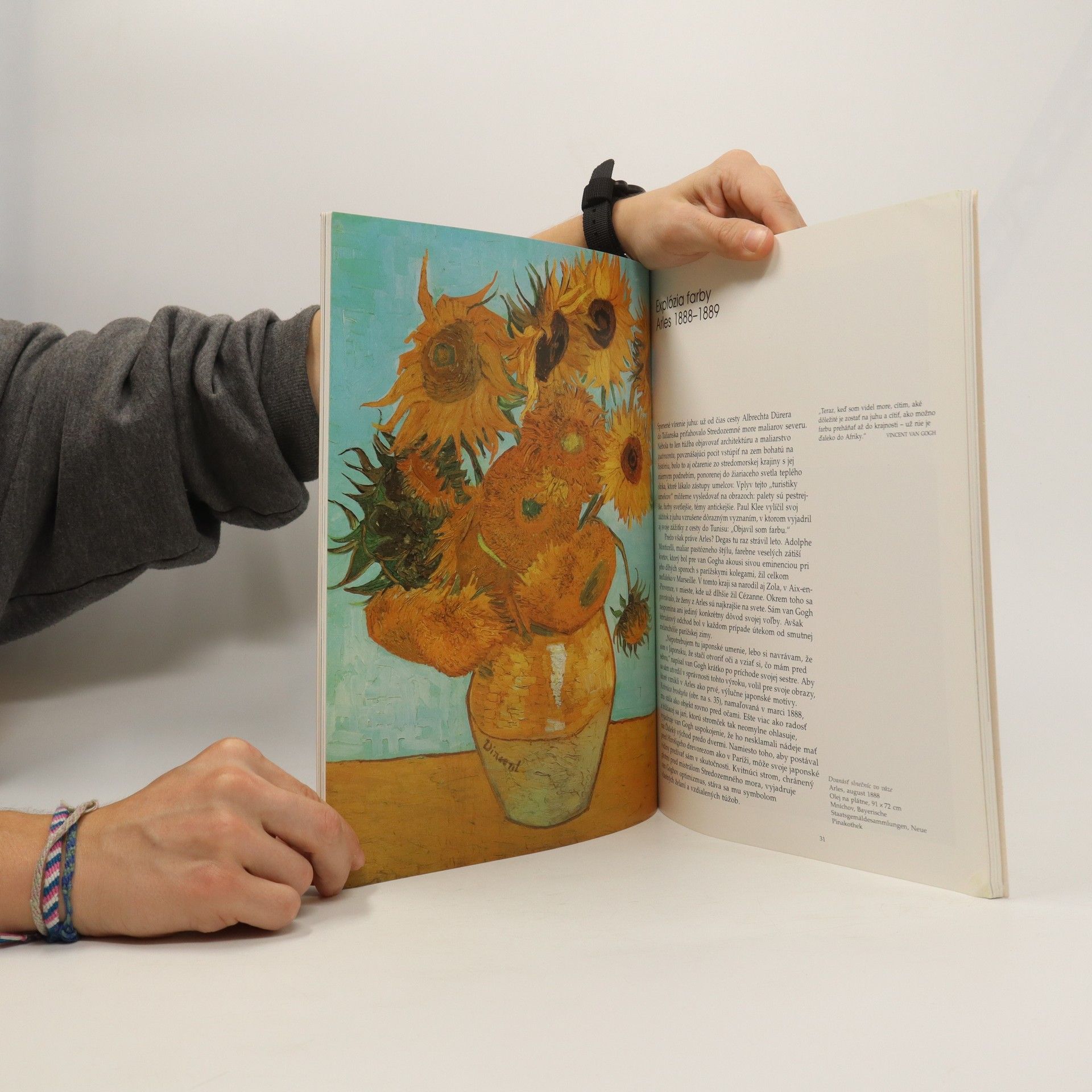 Various authors Vincent van Gogh
