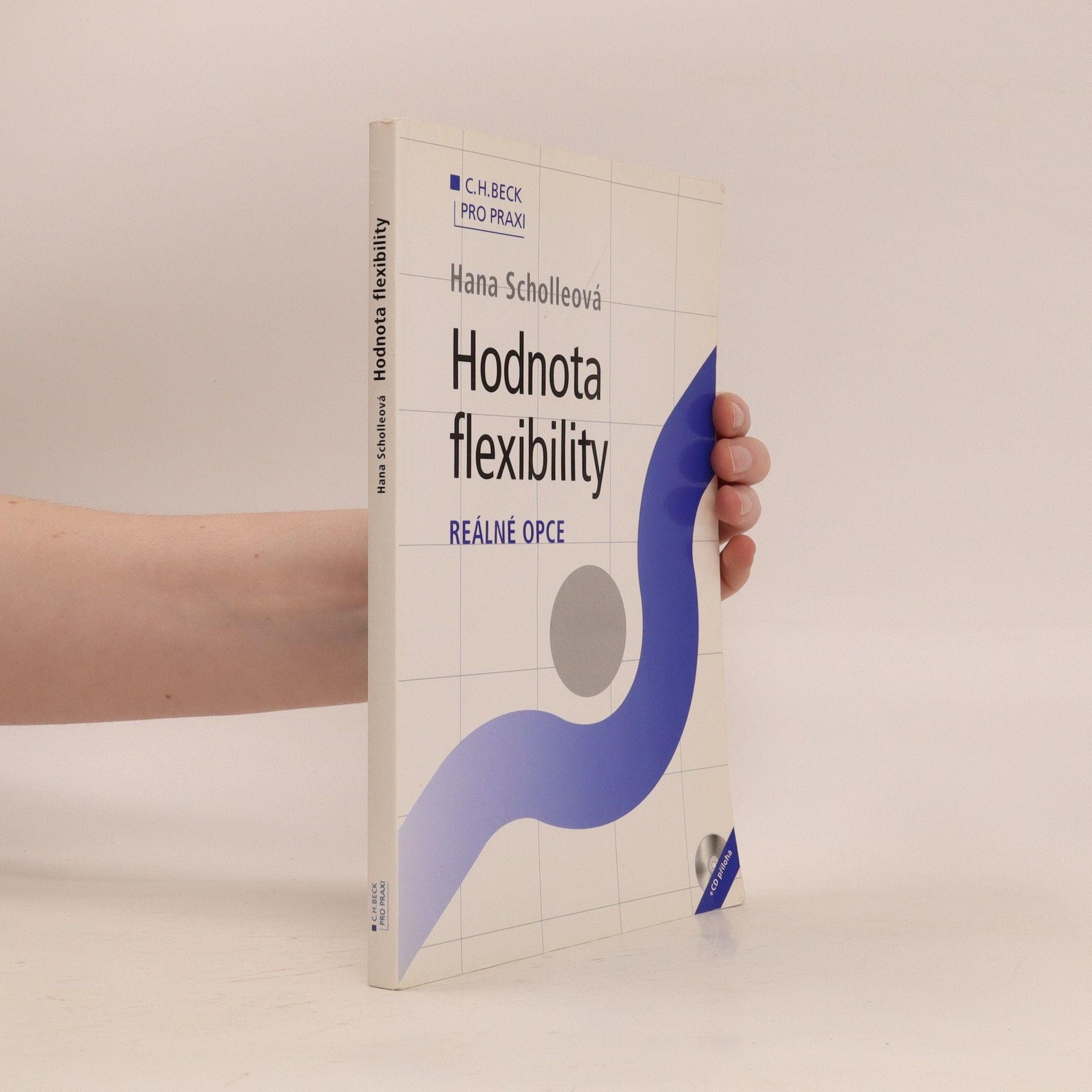 Hana Scholleová Hodnota flexibility: reálné opce