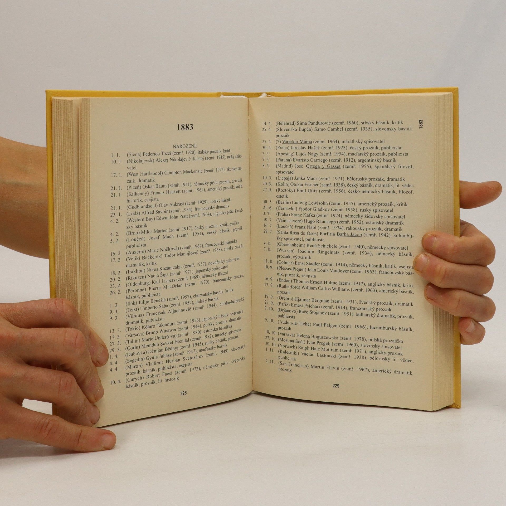 František Brož Česká a světová literatura v datech I (1800-1899)