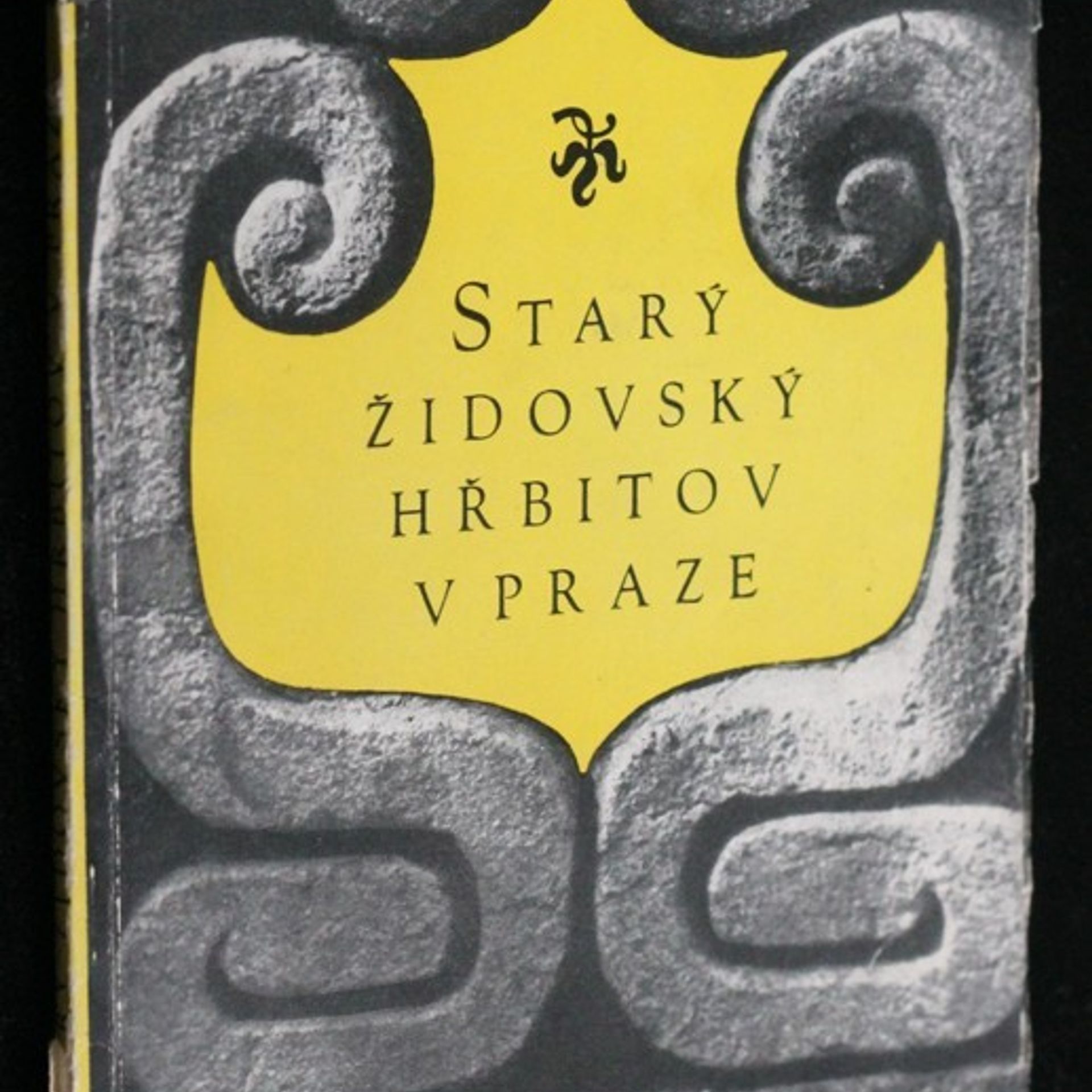 Auteurscollectief Starý židovský hřbitov v Praze