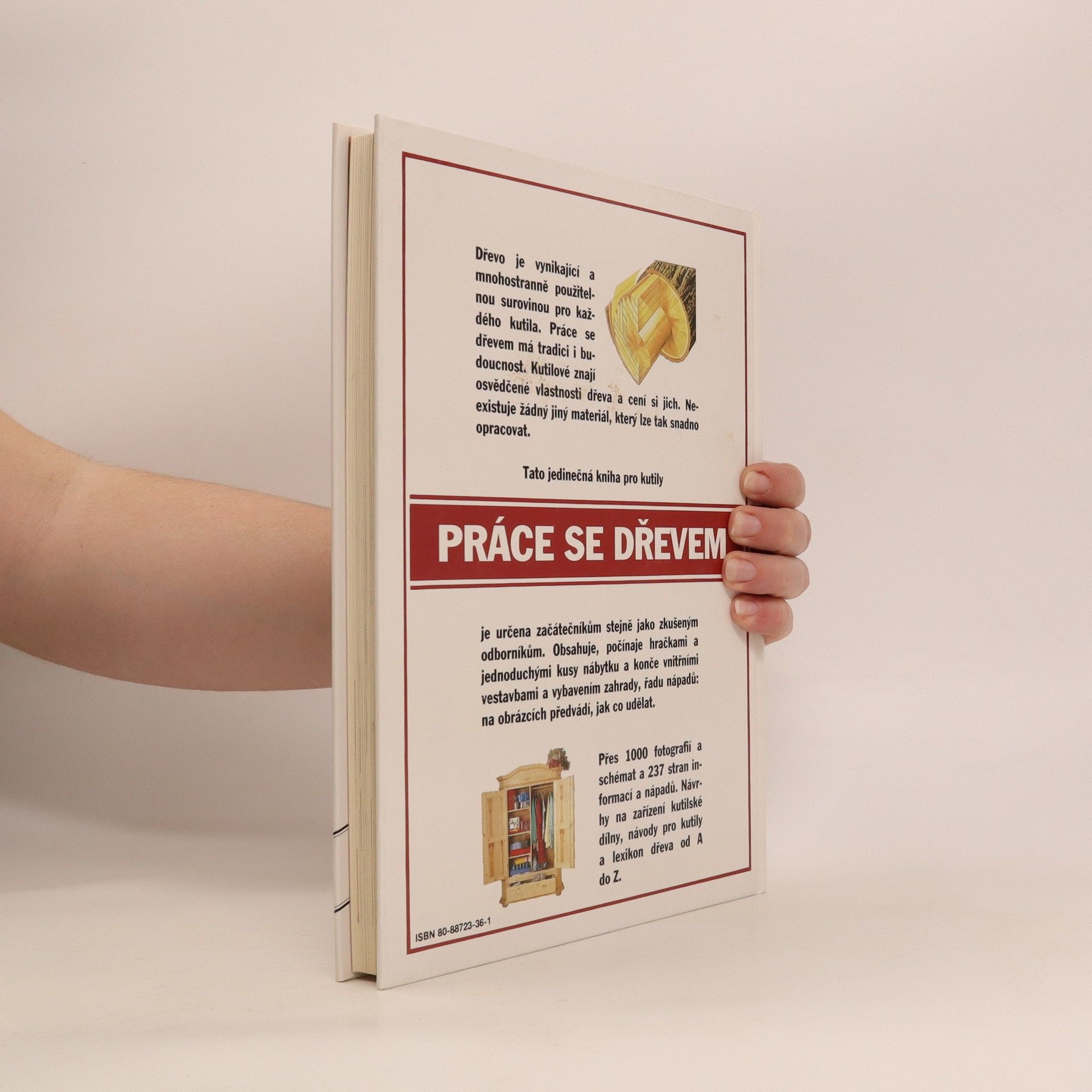 Collectif d'auteurs Práce se dřevem