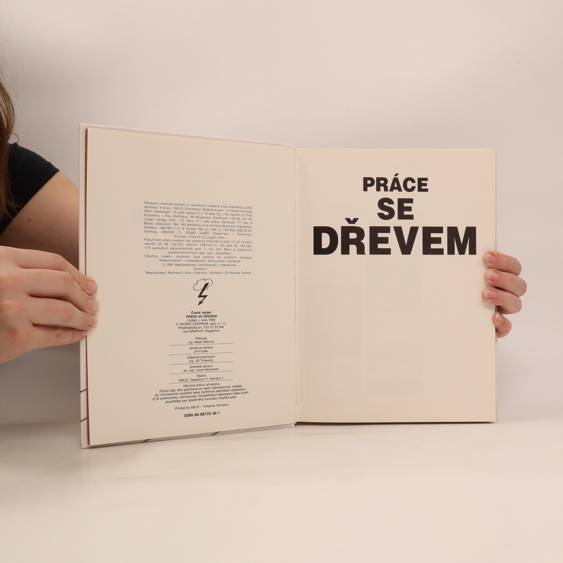 Collectif d'auteurs Práce se dřevem