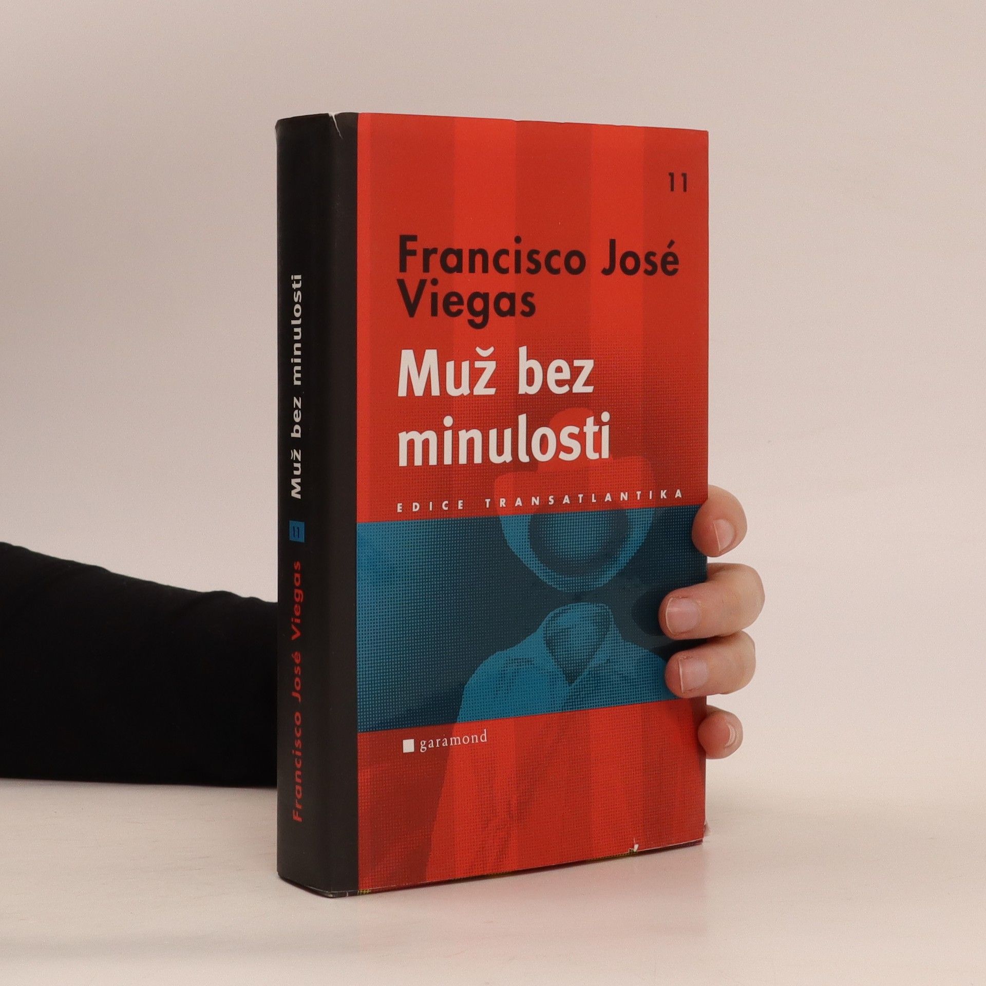 Francisco José Viegas Muž bez minulosti