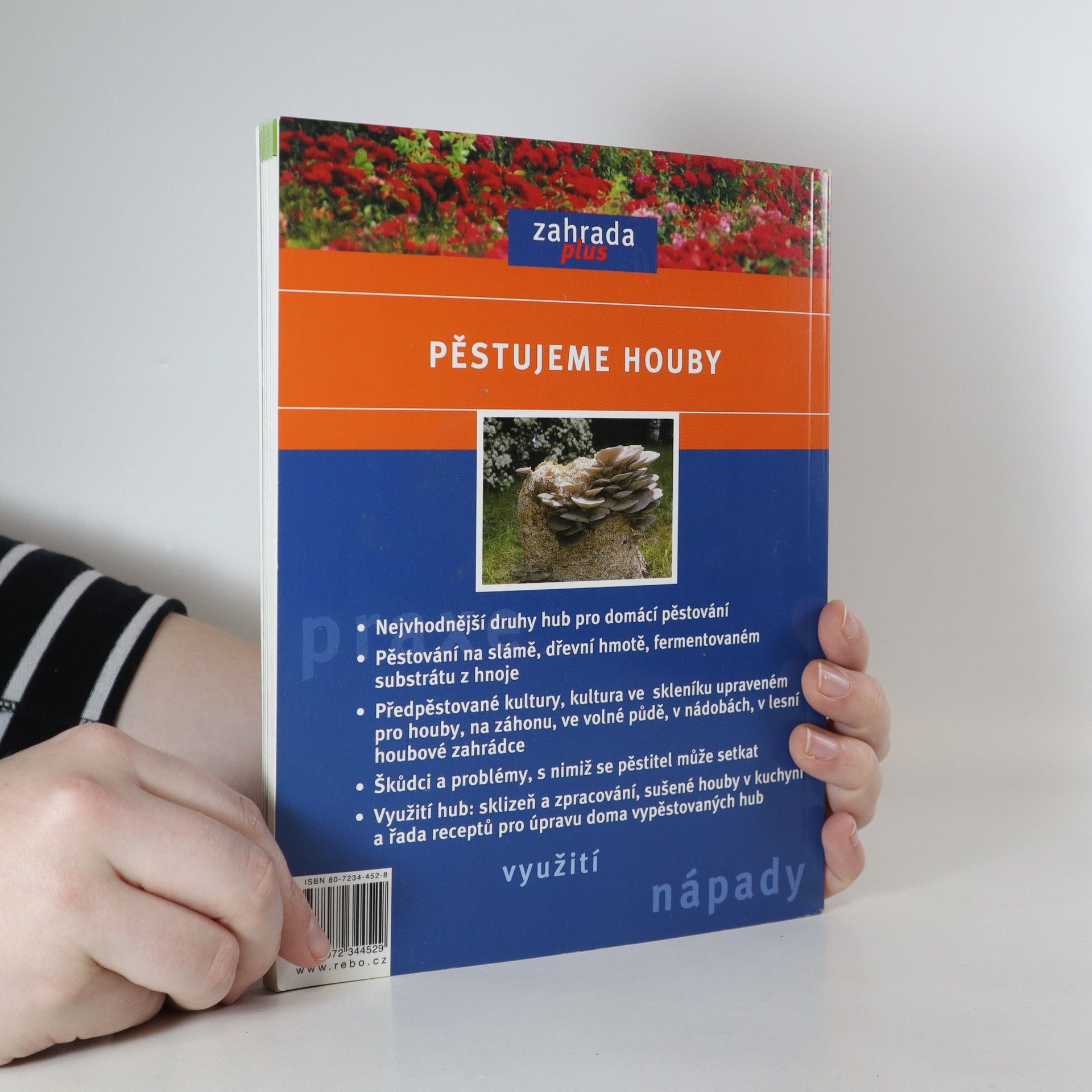 Dagmar Stein Pěstujeme houby. Nejvhodnější druhy, pěstování, využití