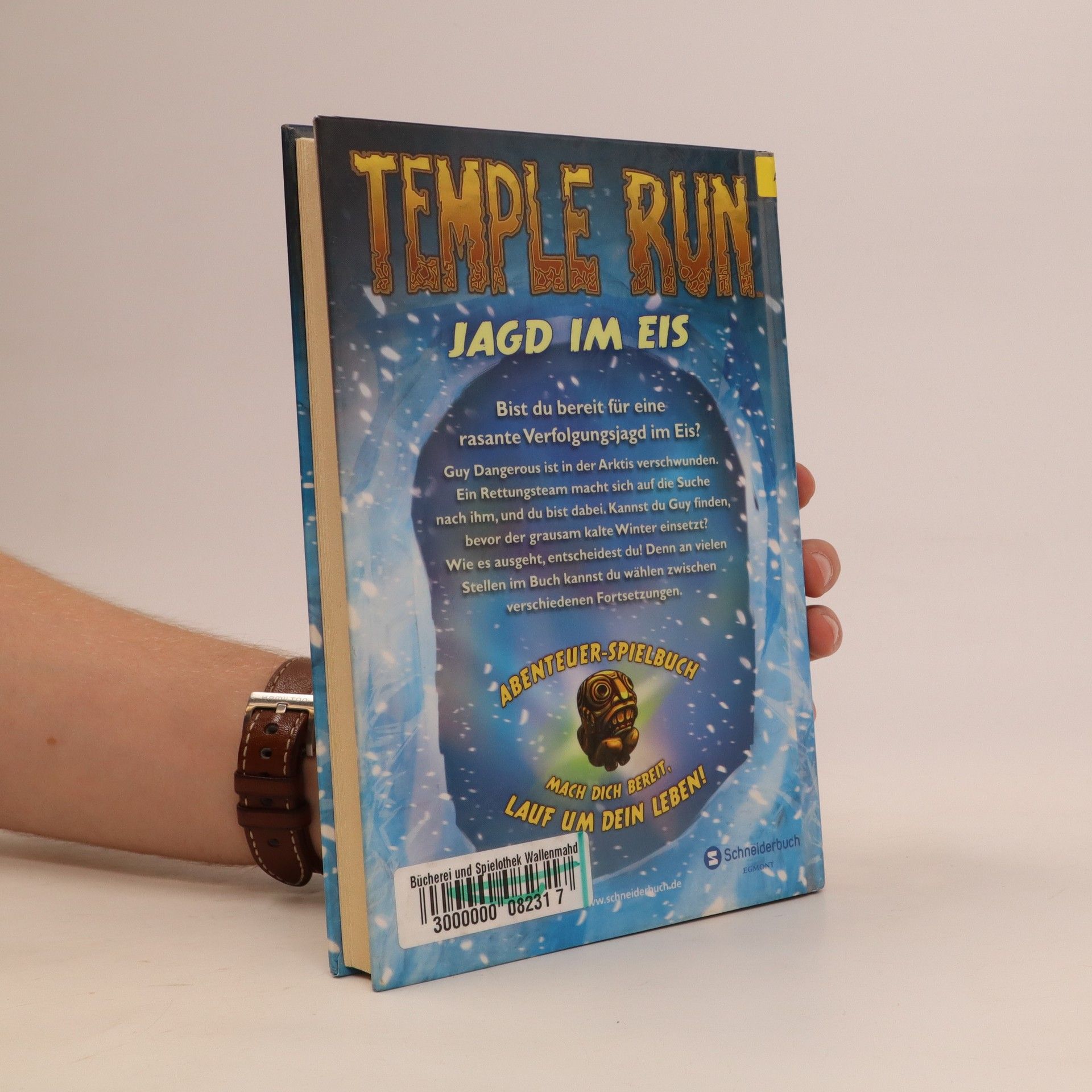 Autorenkollektiv Temple Run - Lauf um dein Leben! 04 Jag im Eis