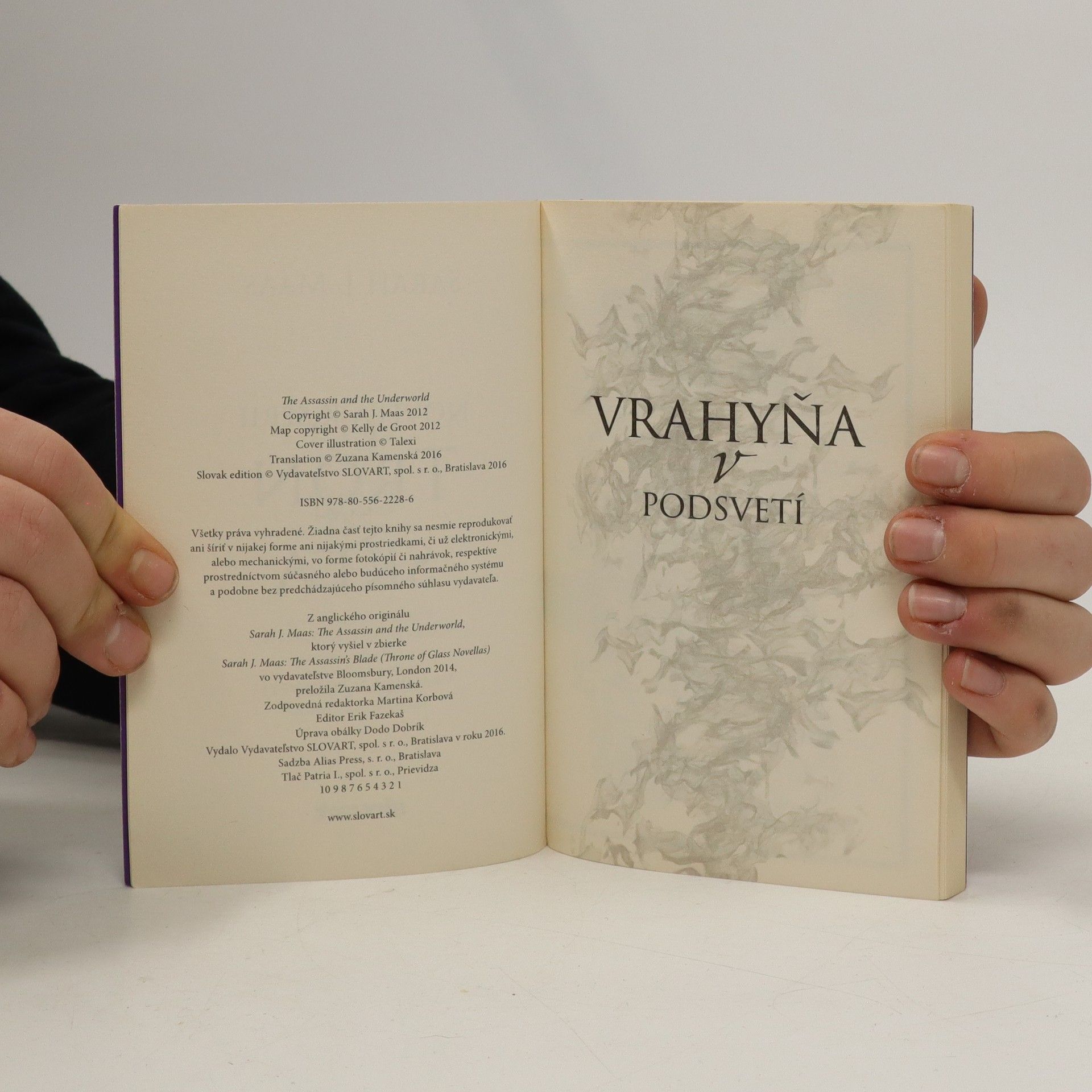 Sarah J. Maas Vrahyňa v podsvetí