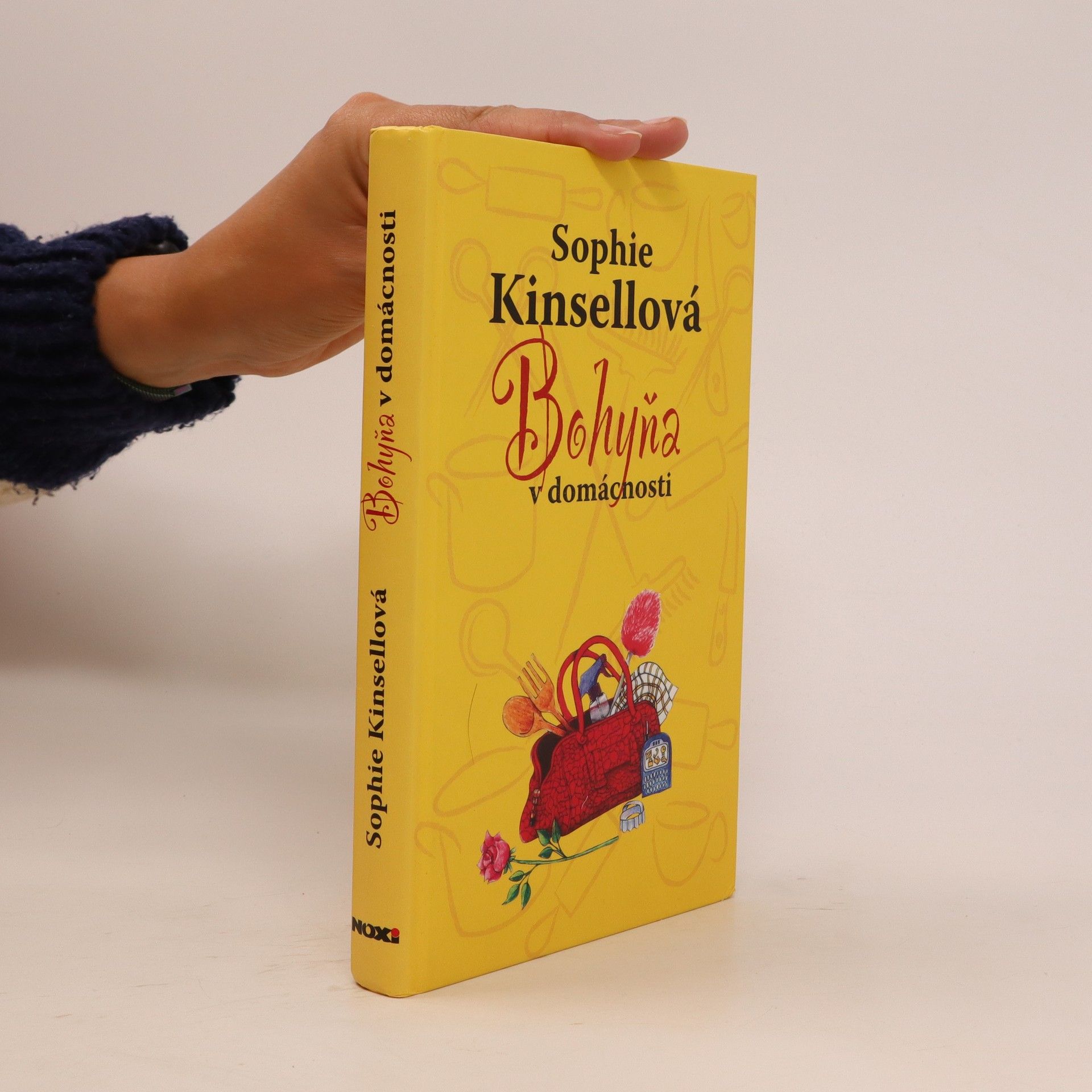 Sophie Kinsella Bohyňa v domácnosti