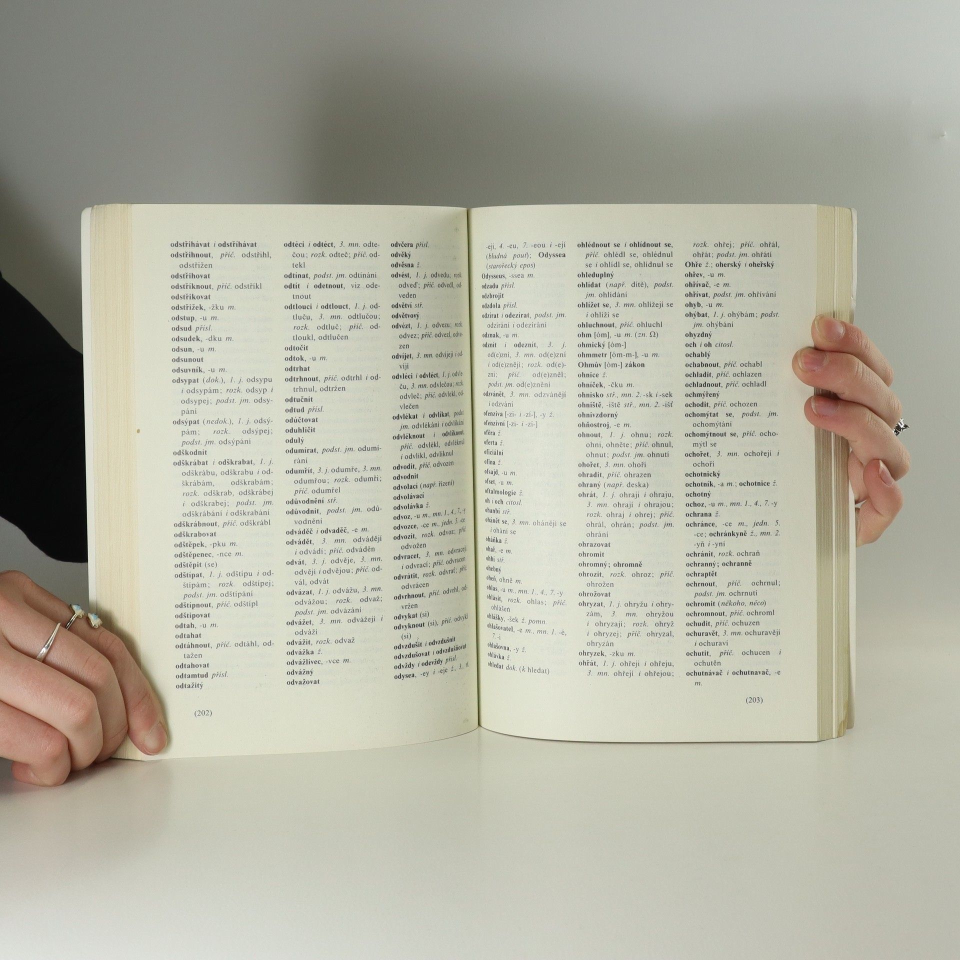 Autorenkollektiv Pravidla českého pravopisu