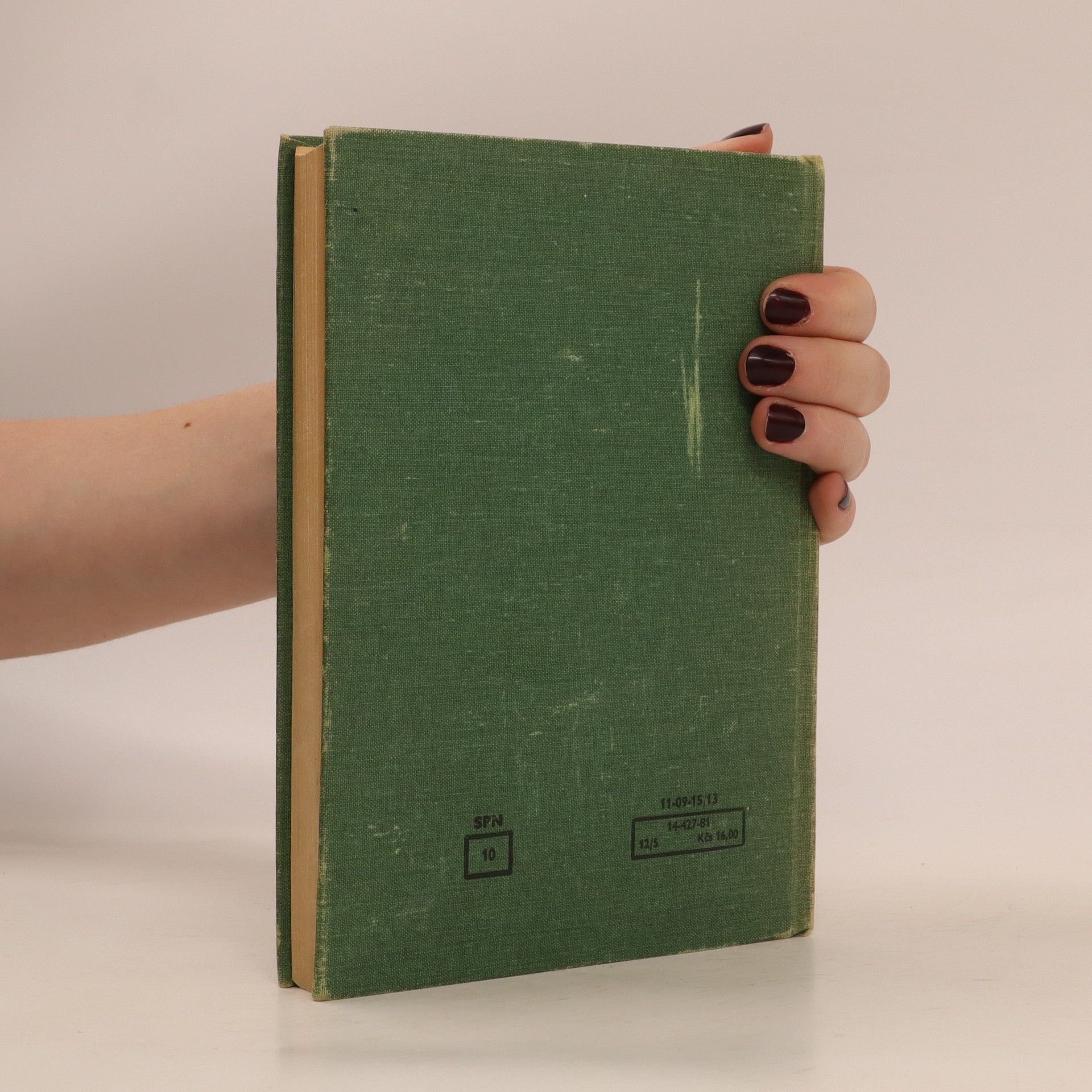 Autorenkollektiv Pravidla českého pravopisu. Školní vydání