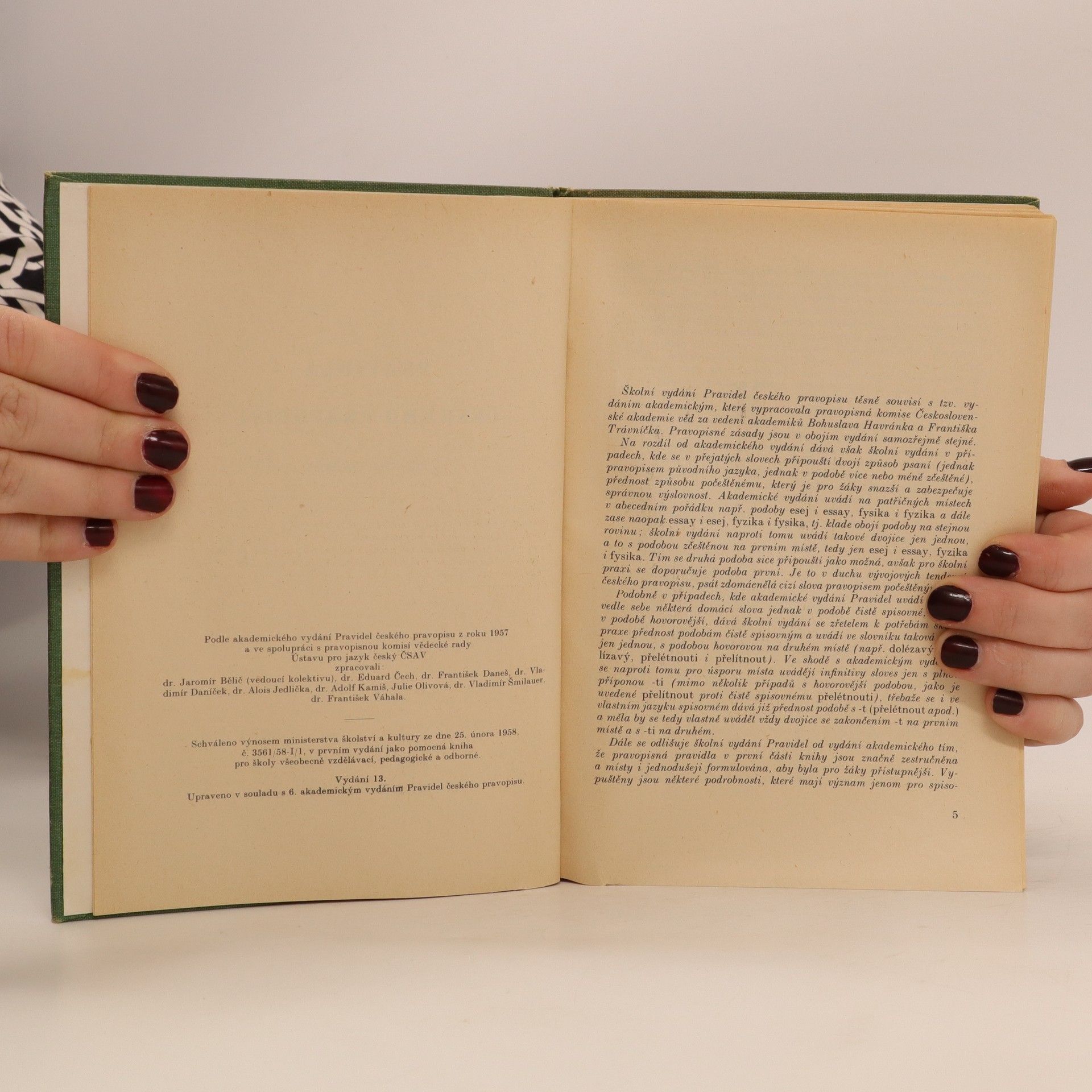 Autorenkollektiv Pravidla českého pravopisu. Školní vydání