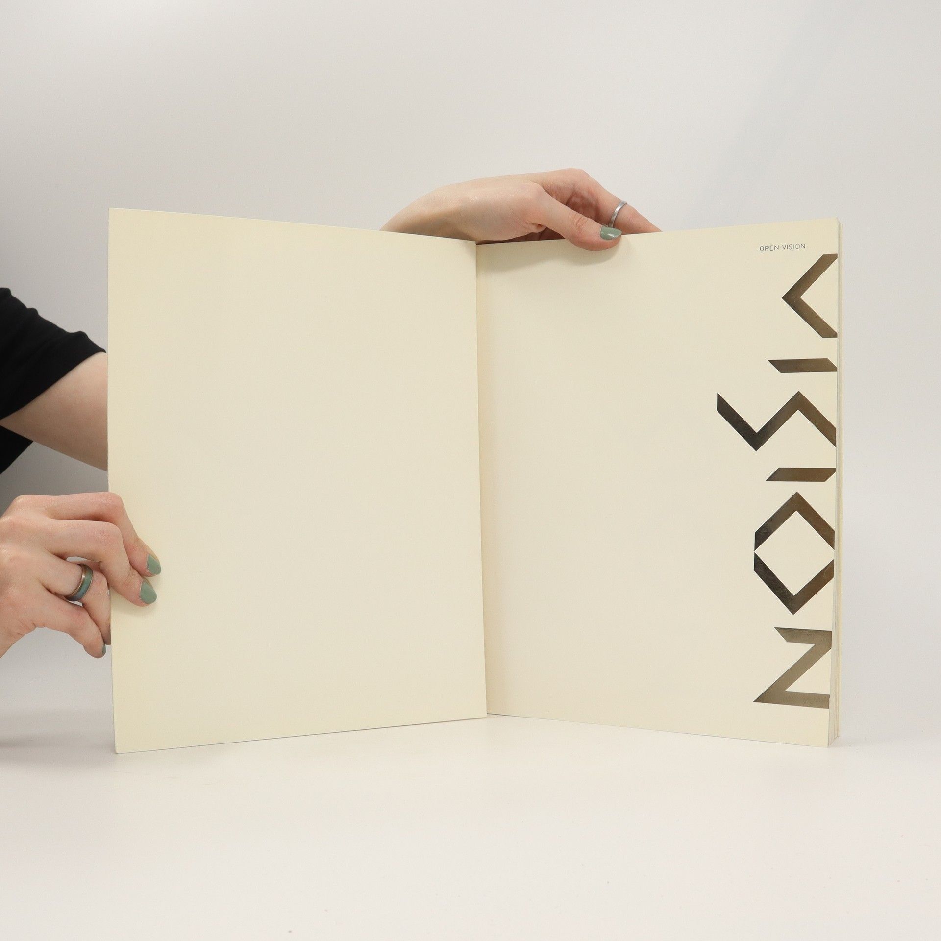 Various authors Otevřená vize = open vision: výstava současného čínského umění