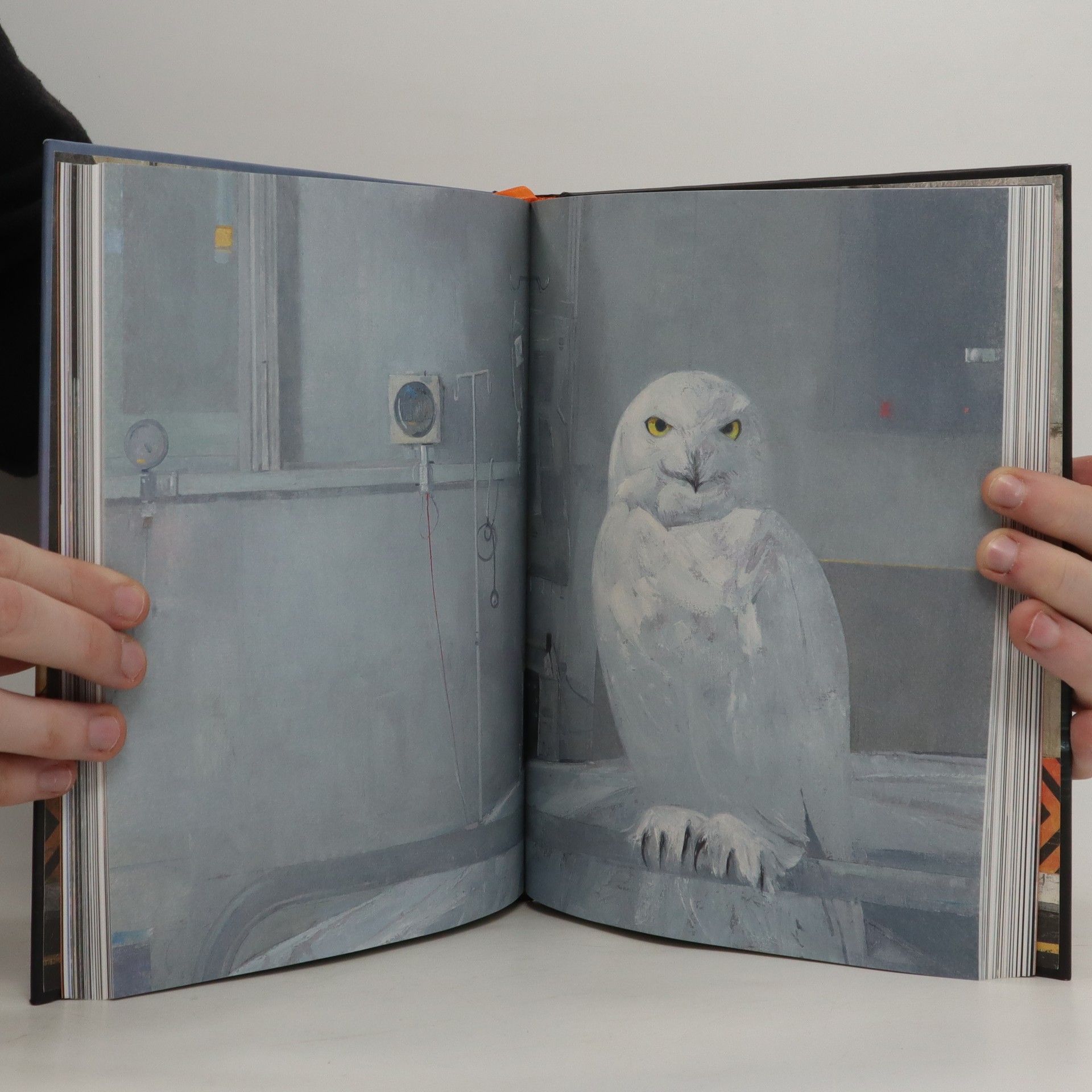 Shaun Tan Příběhy z vnitřního města
