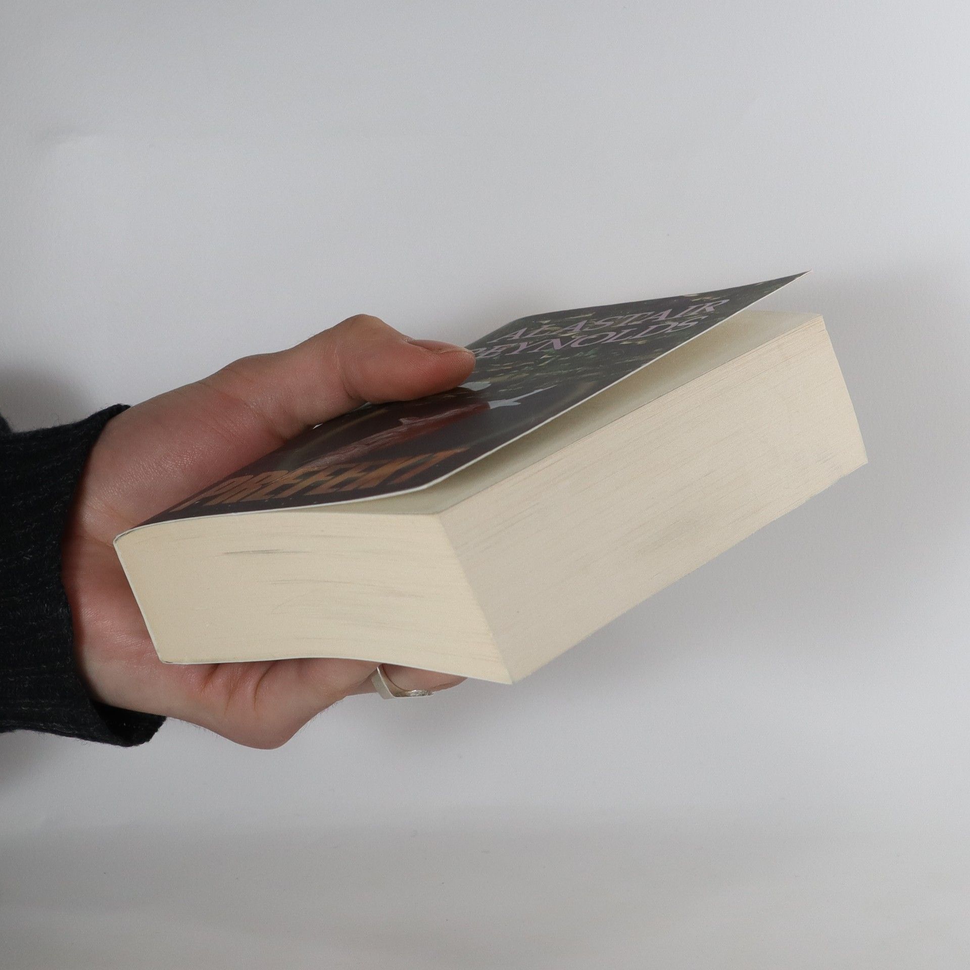 Alastair Reynolds Prefekt