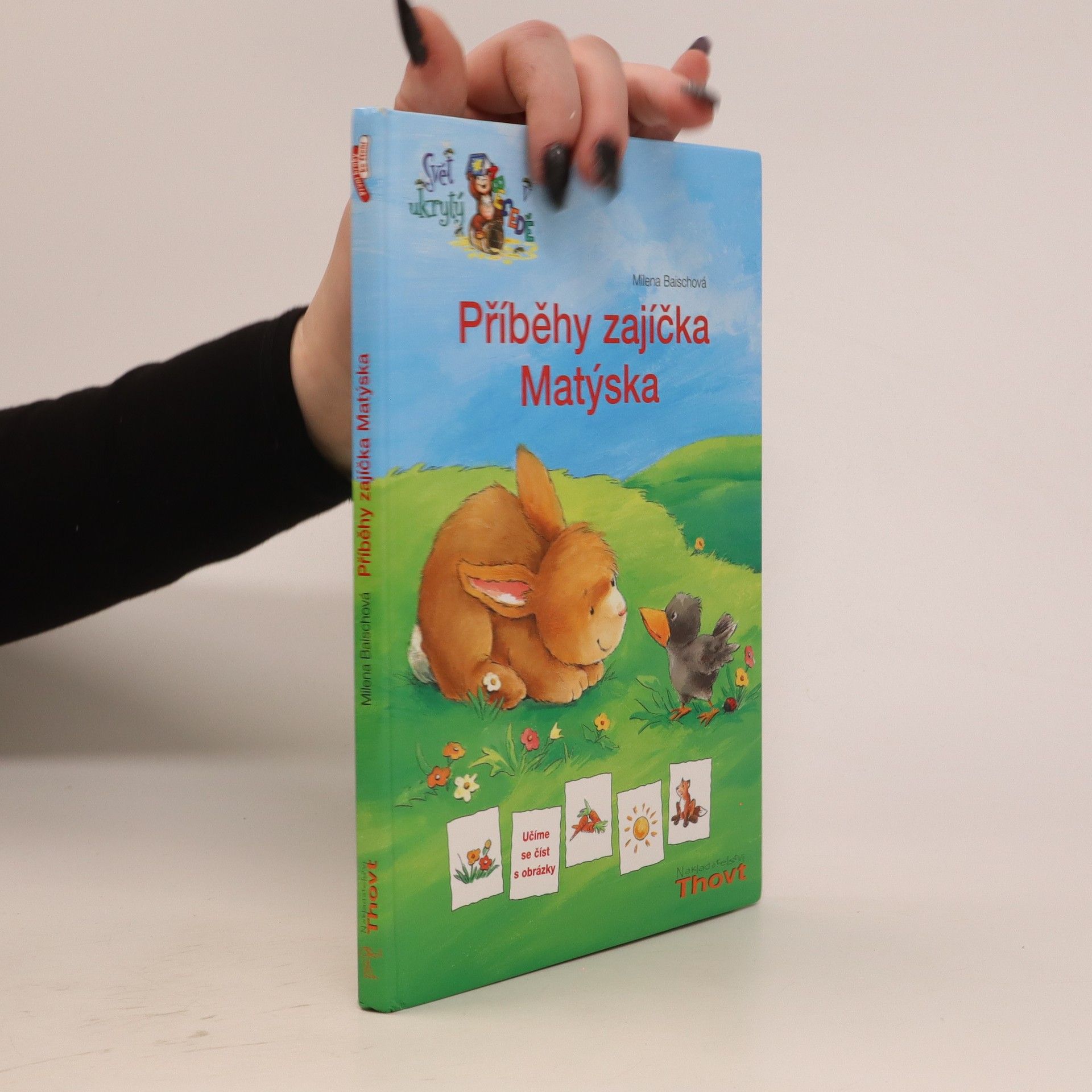 Milena Baisch Příběhy zajíčka Matýska