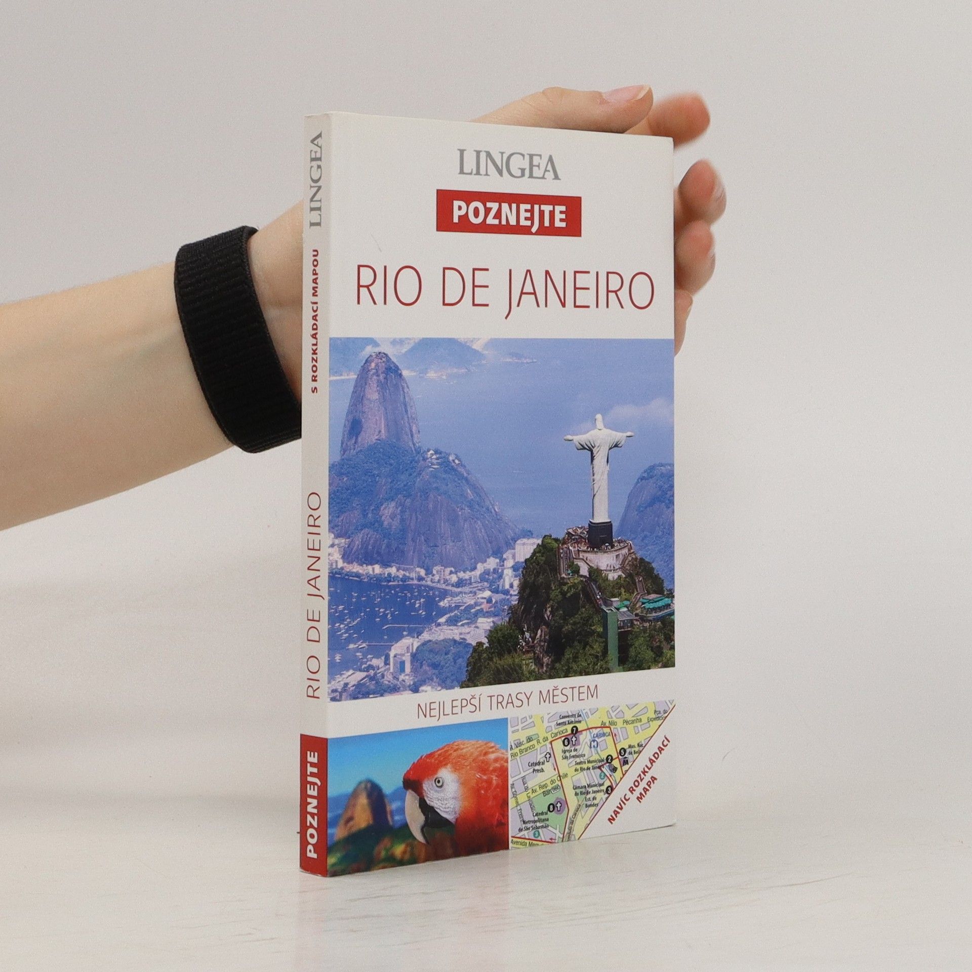 Collectif d'auteurs Rio de Janeiro