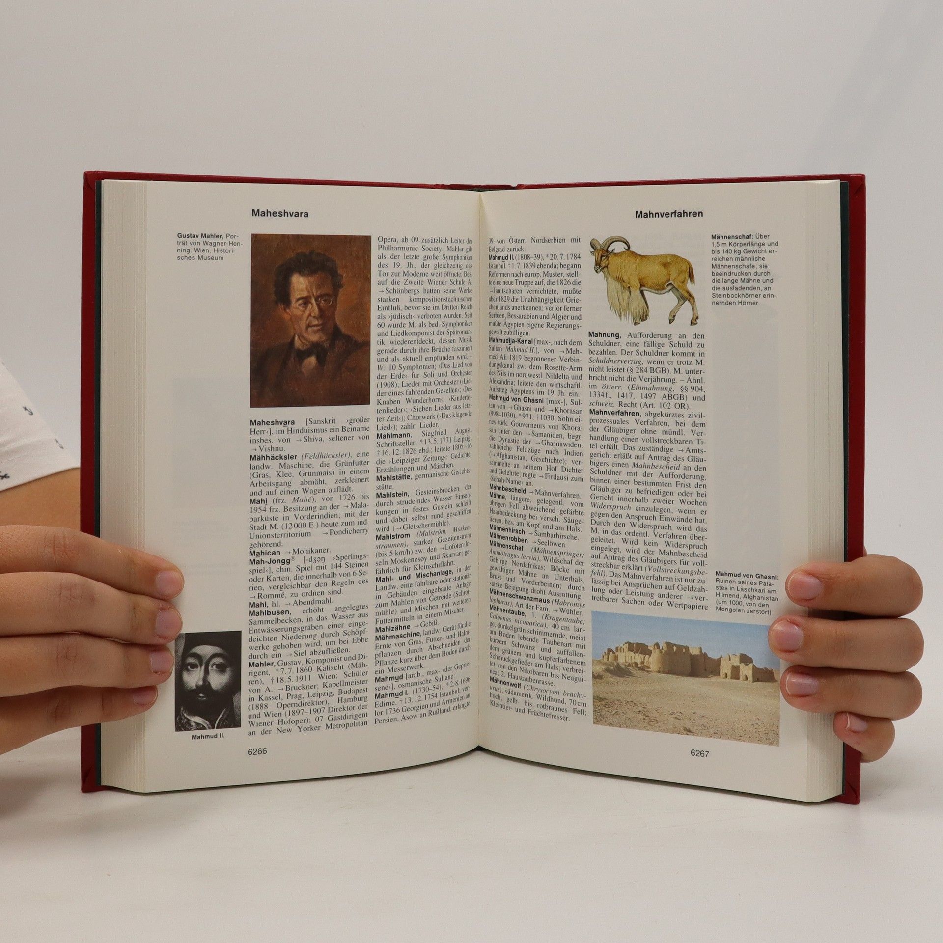 Autorenkollektiv Das Bertelsmann Lexikon 14. Liec-Med