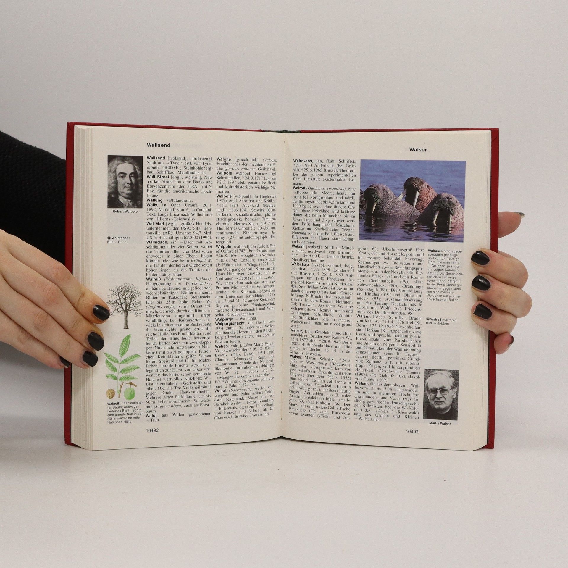 Autorenkollektiv Das Bertelsmann Lexikon 23. Venu-Wess