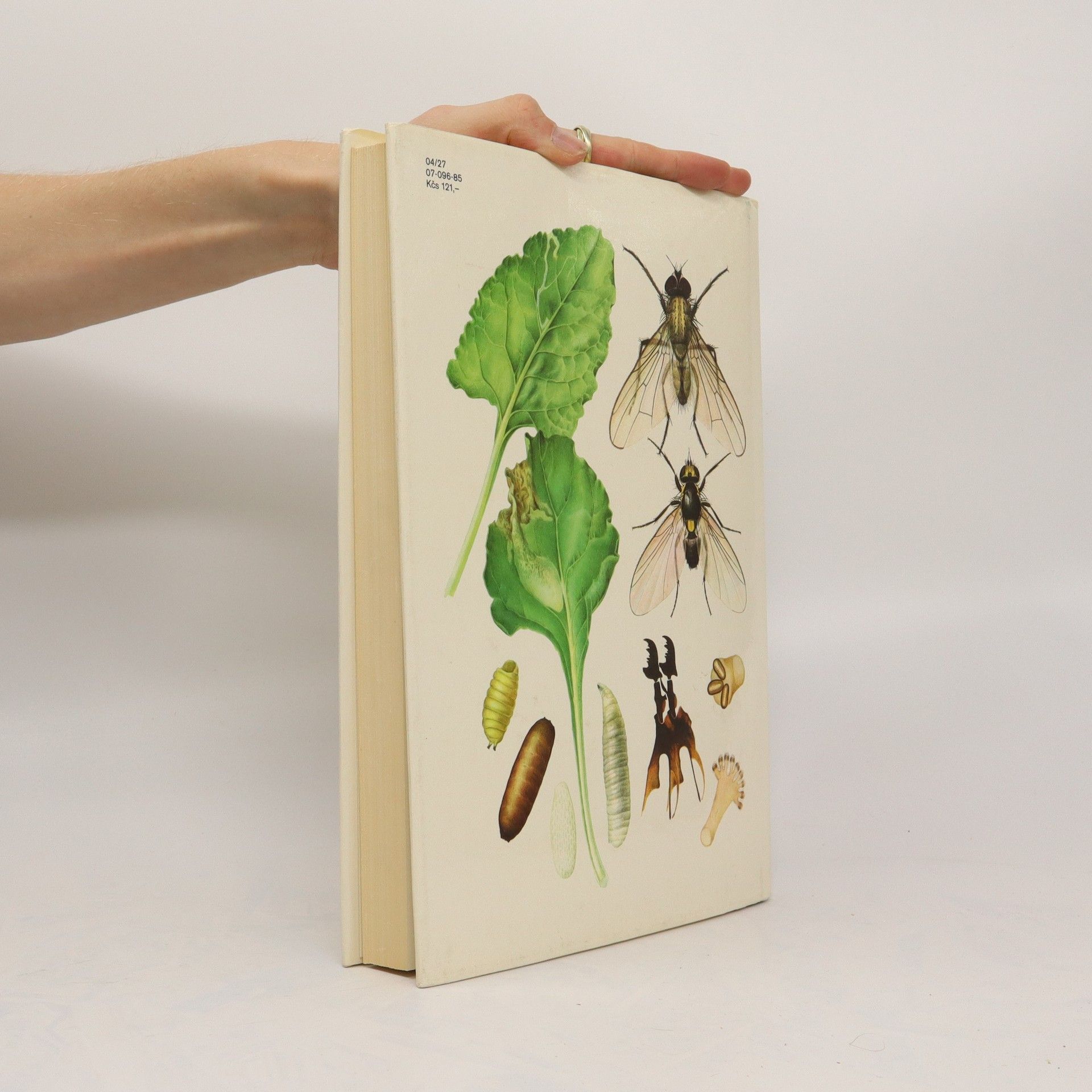 Collectif d'auteurs Atlas der Krankeheitem und Schälinge der Rübe/Atlas chorob a škůdců řepy/Атлас болезней и вредителей свеклы