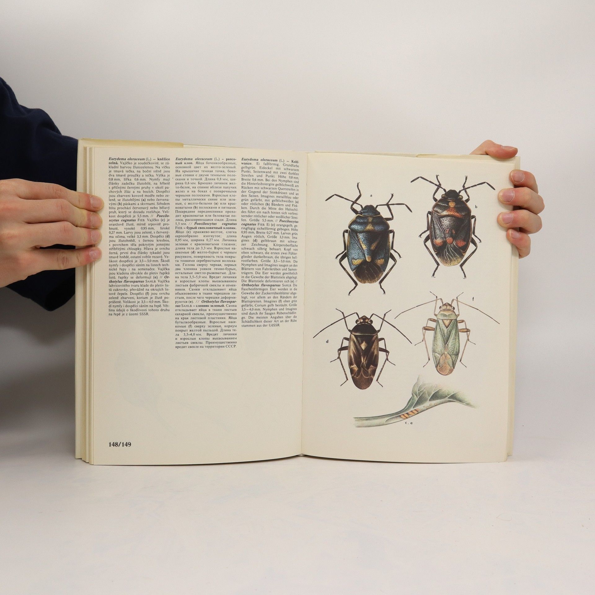 Collectif d'auteurs Atlas der Krankeheitem und Schälinge der Rübe/Atlas chorob a škůdců řepy/Атлас болезней и вредителей свеклы