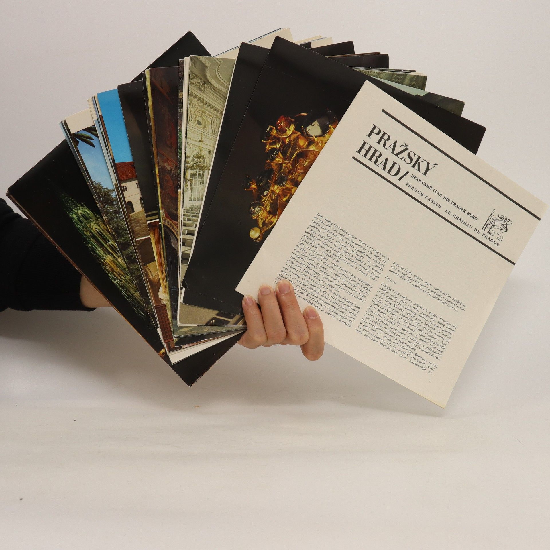 Collectif d'auteurs Pražský hrad