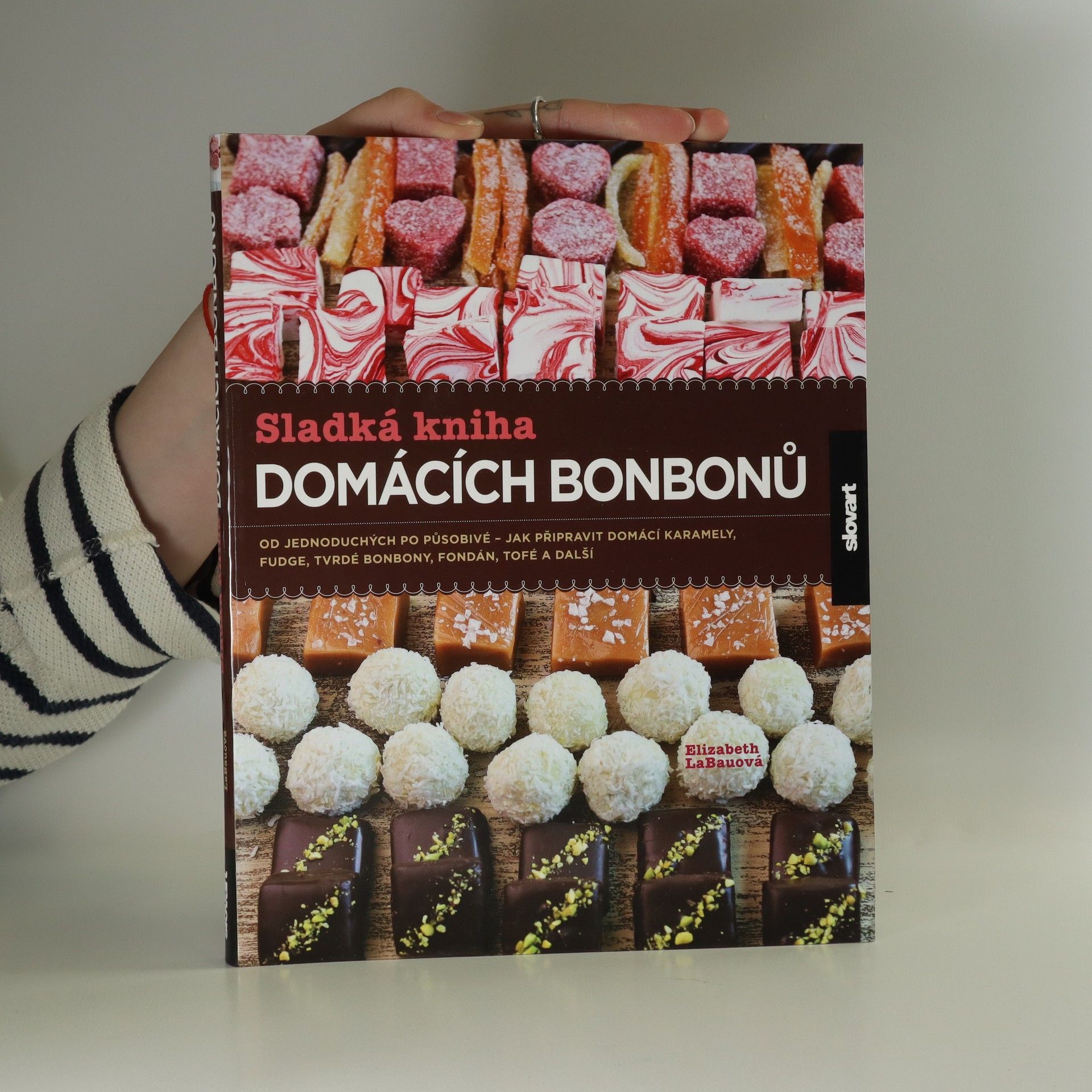 Elizabeth LaBau Sladká kniha domácích bonbonů