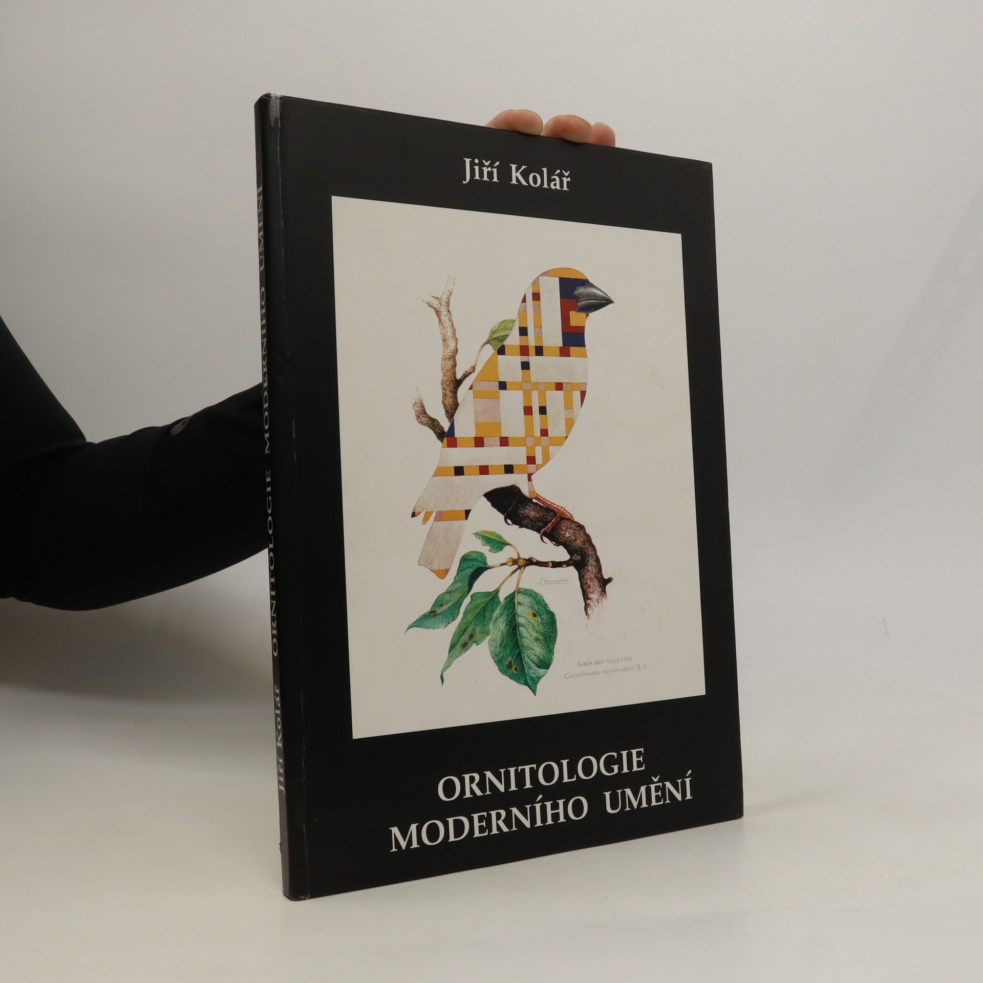 Jiří Kolář Ornitologie moderního umění. The ornitology of modern art