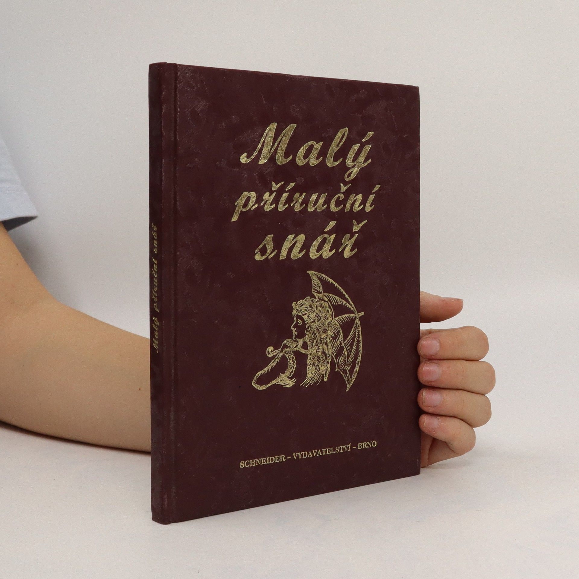 Collectif d'auteurs Malý příruční snář