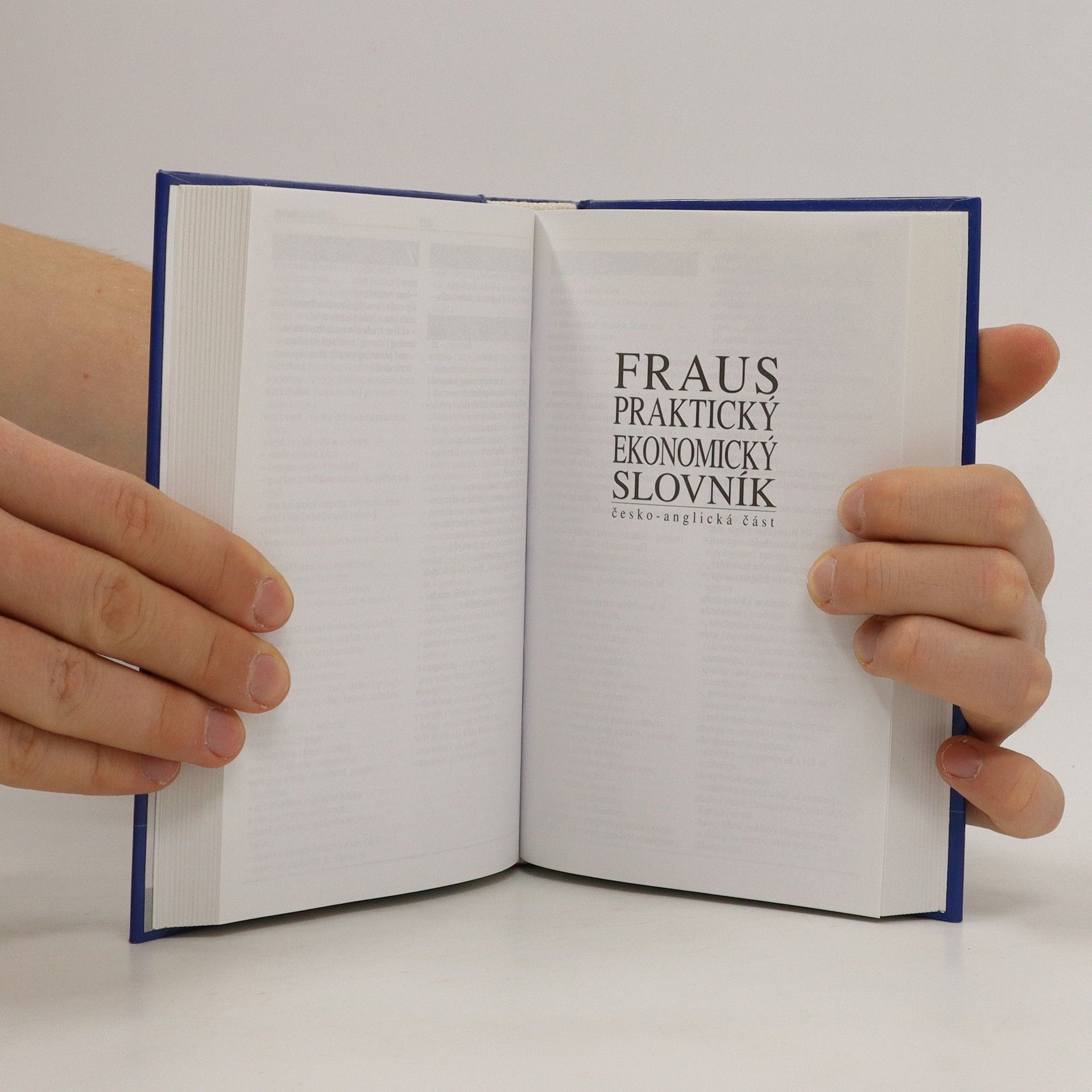 Josef Bürger Fraus praktický ekonomický slovník.