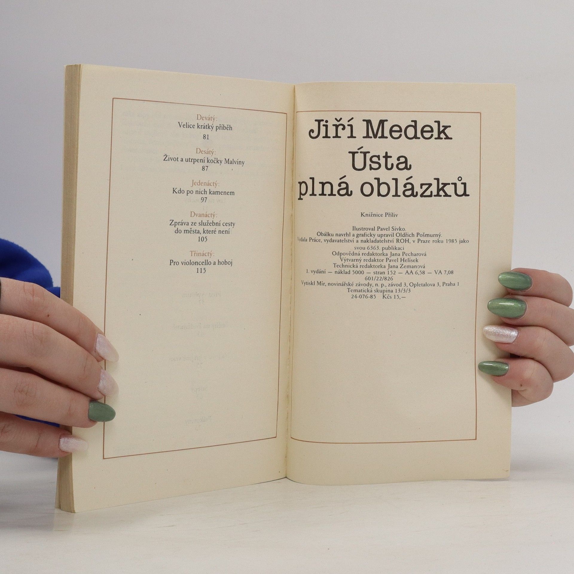 Medek Jiří Ústa plná oblázků