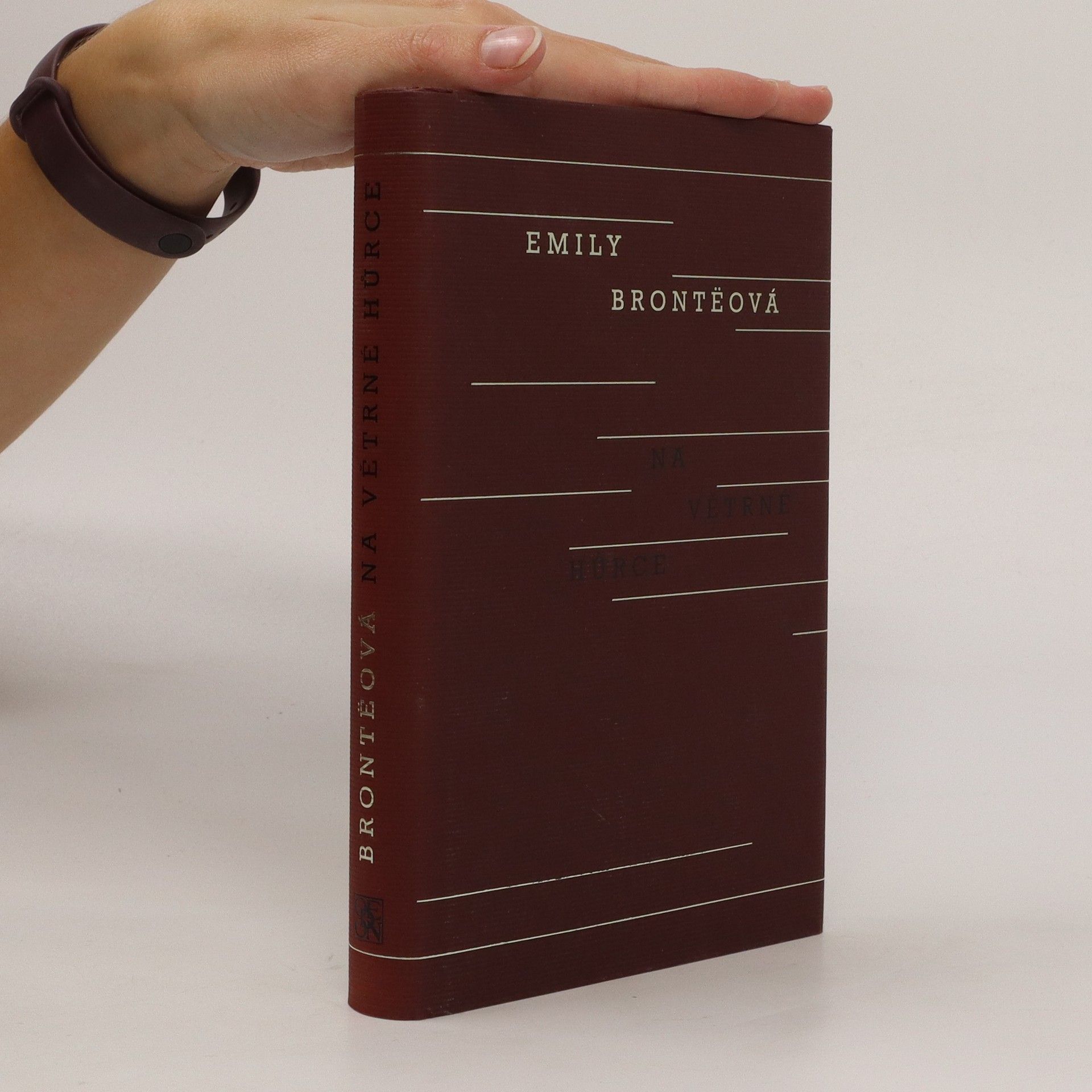 Emily Brontë Na Větrné hůrce