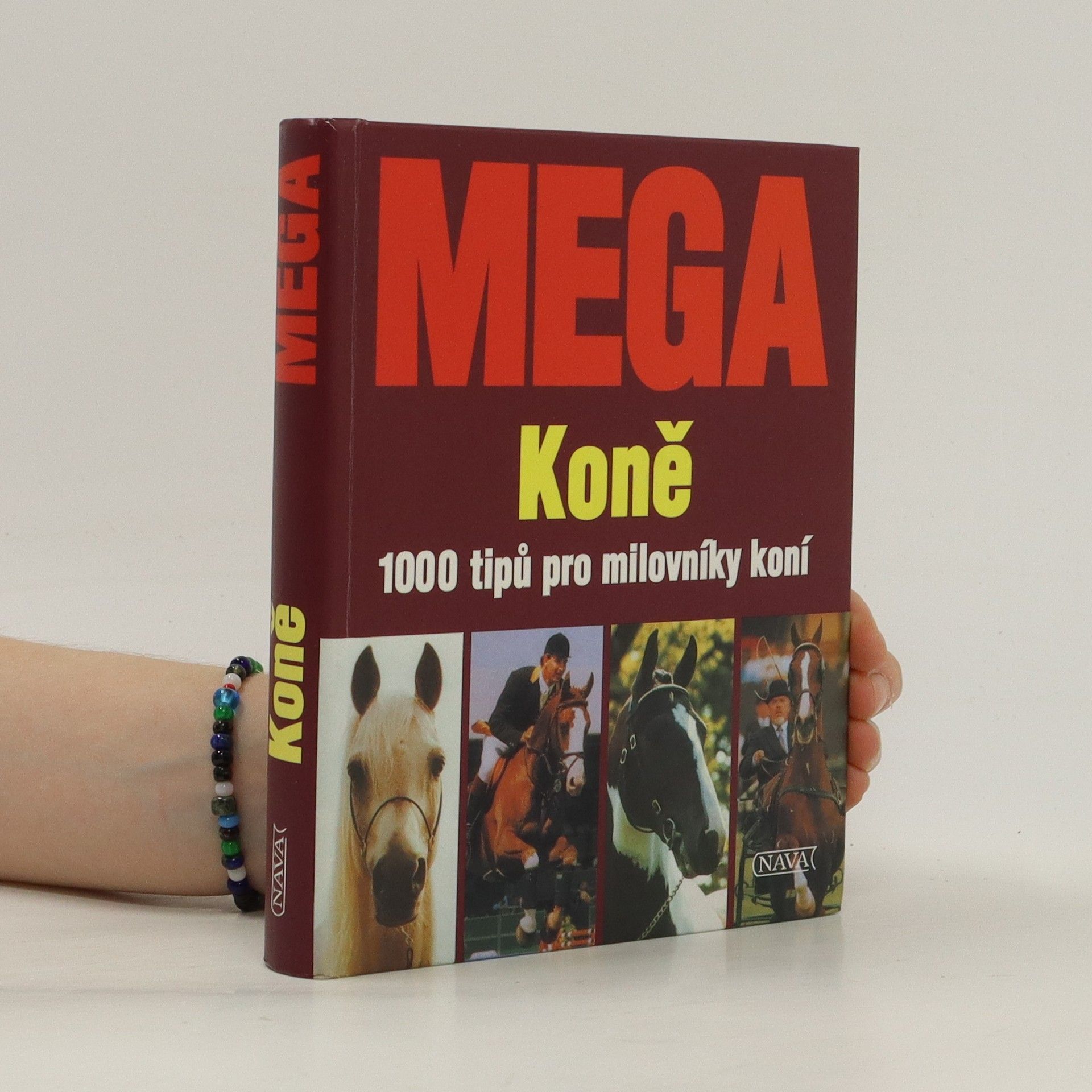 Edgar Wüpper Mega: Koně