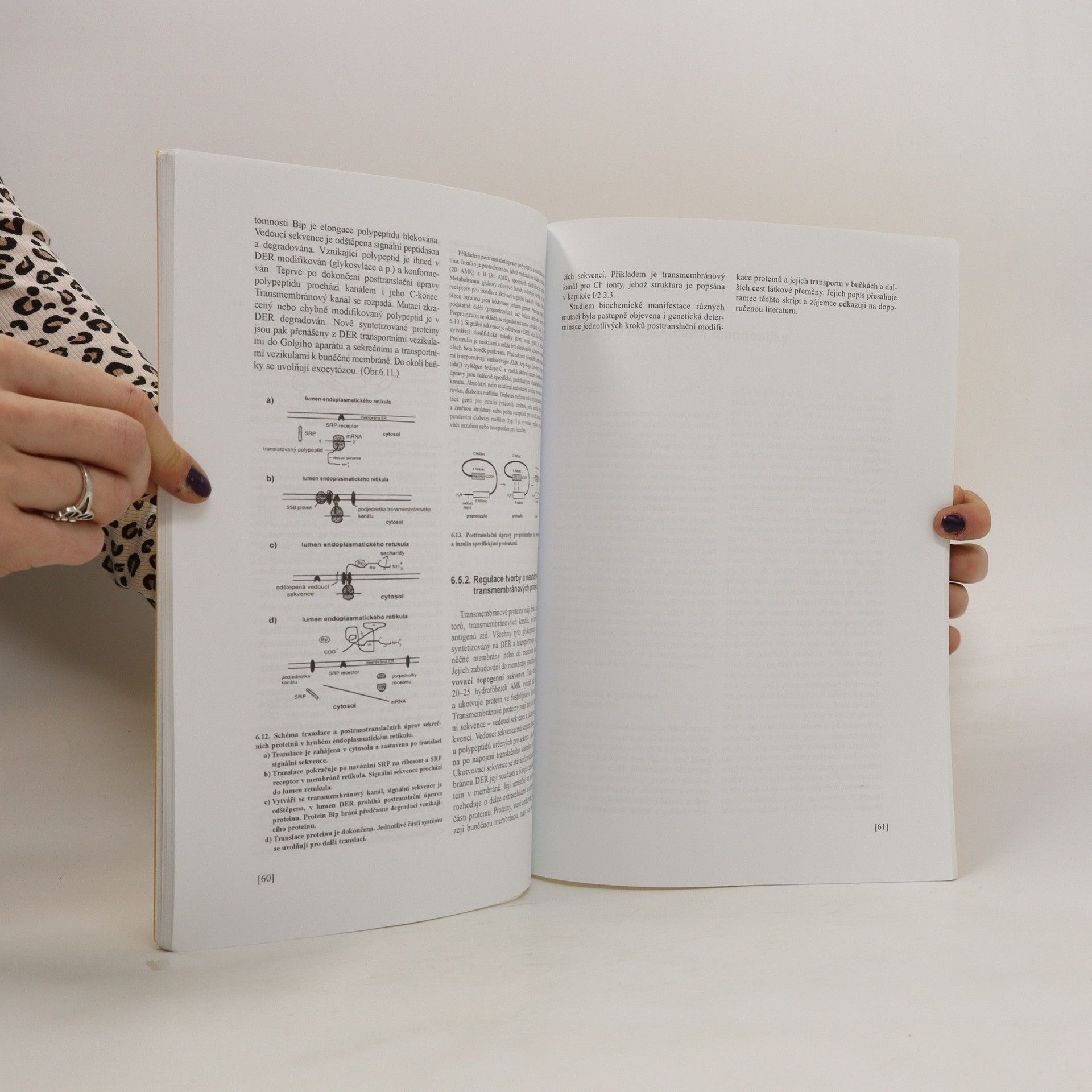 Jan Kapras Kapitoly z lékařské biologie a genetiky III.