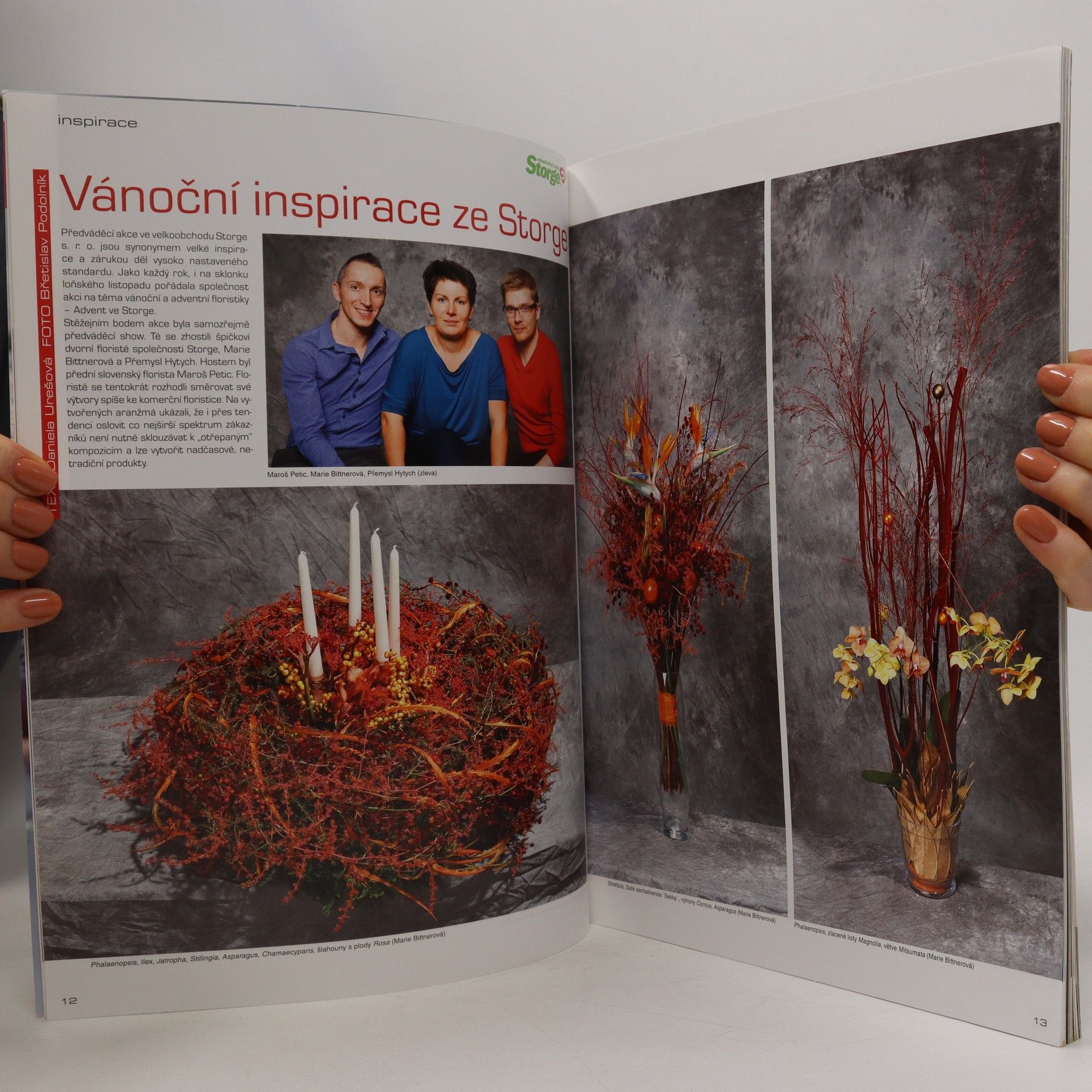 Autorenkollektiv Floristika 6/2014