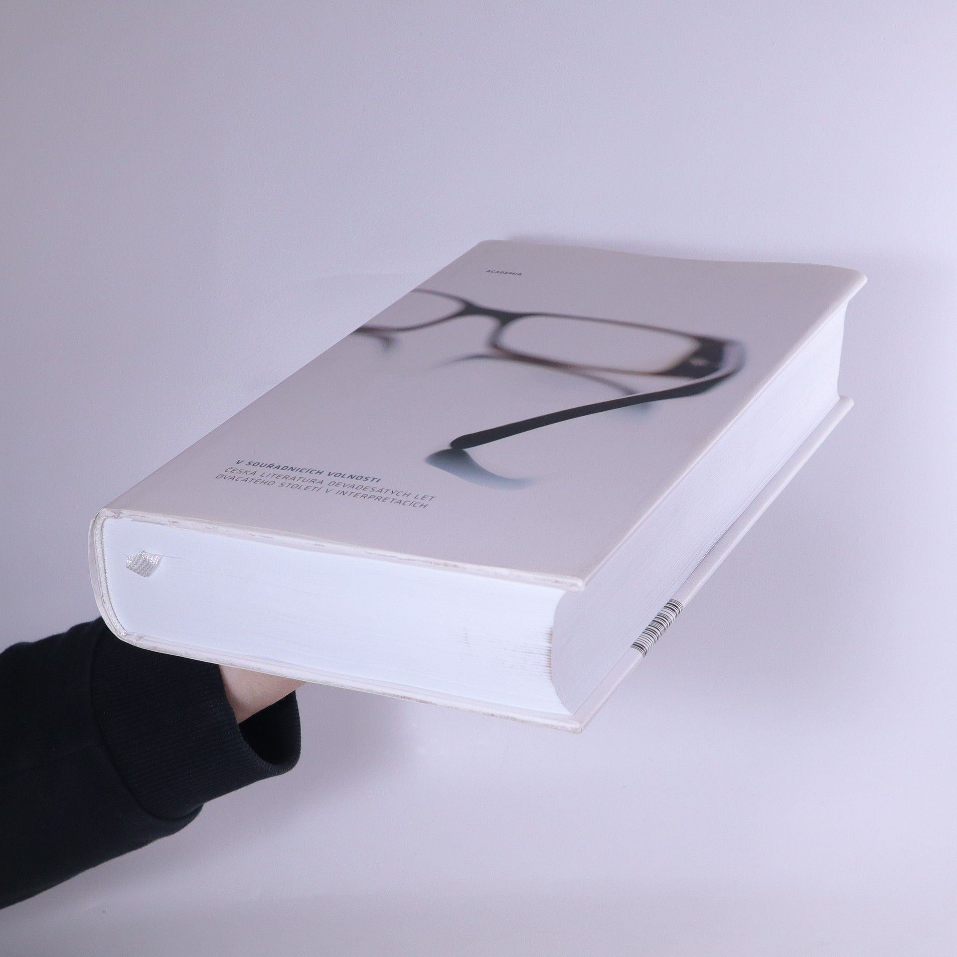 Petr Hruška V souřadnicích volnosti. Česká literatura devadesátých let dvacátého století v interpretacích