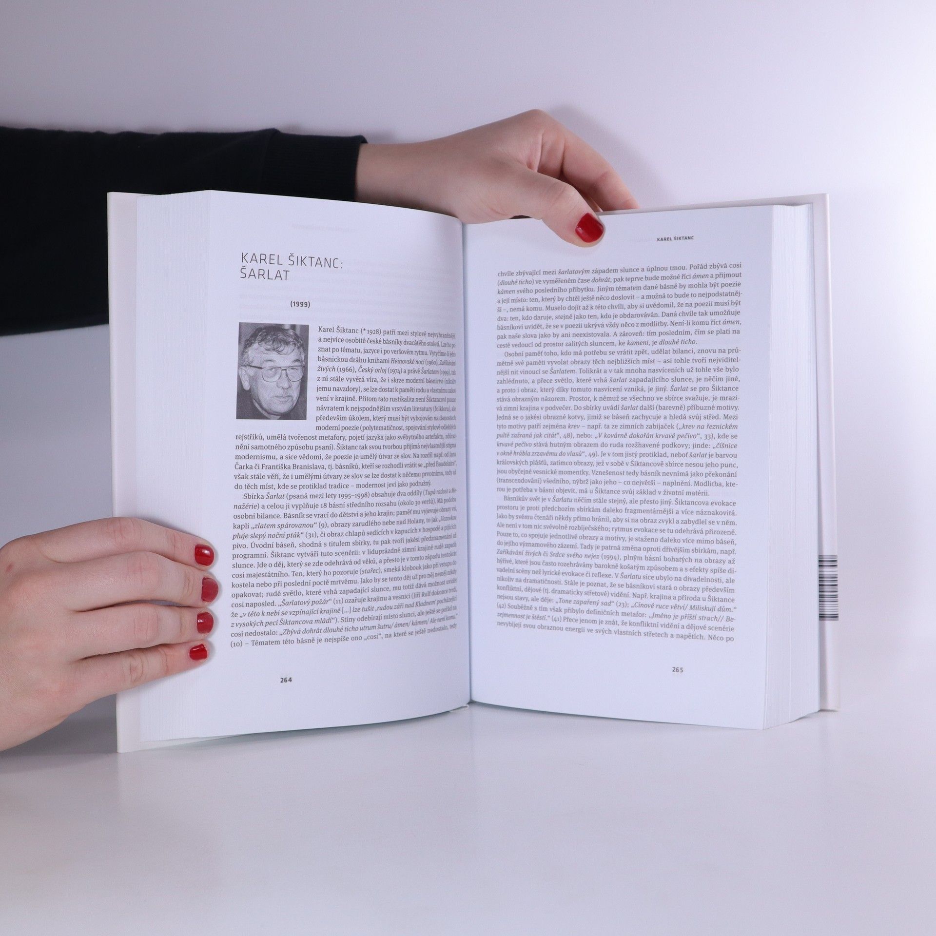 Petr Hruška V souřadnicích volnosti. Česká literatura devadesátých let dvacátého století v interpretacích