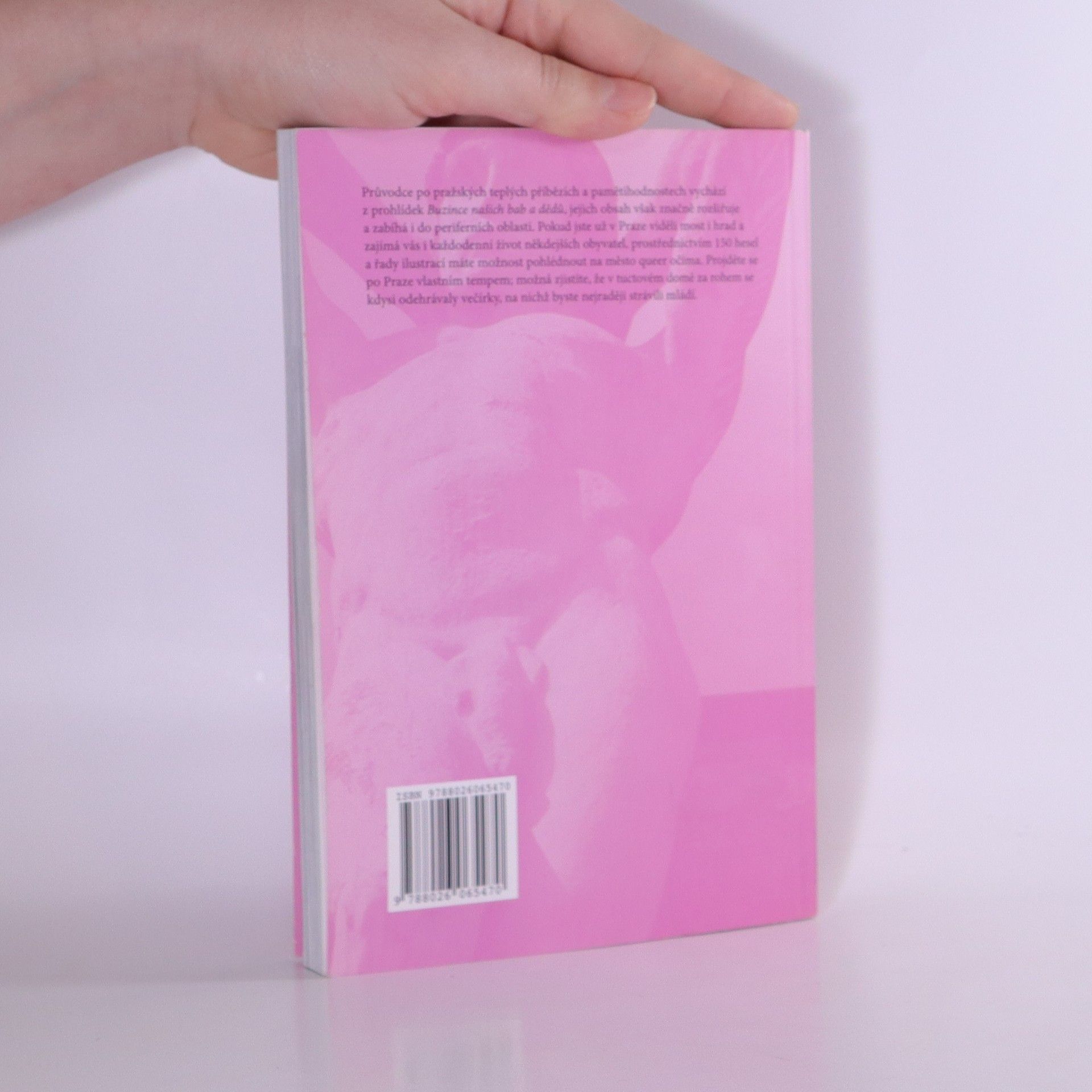 Jan Seidl Teplá Praha: Průvodce po queer historii hlavního města 1380-2000