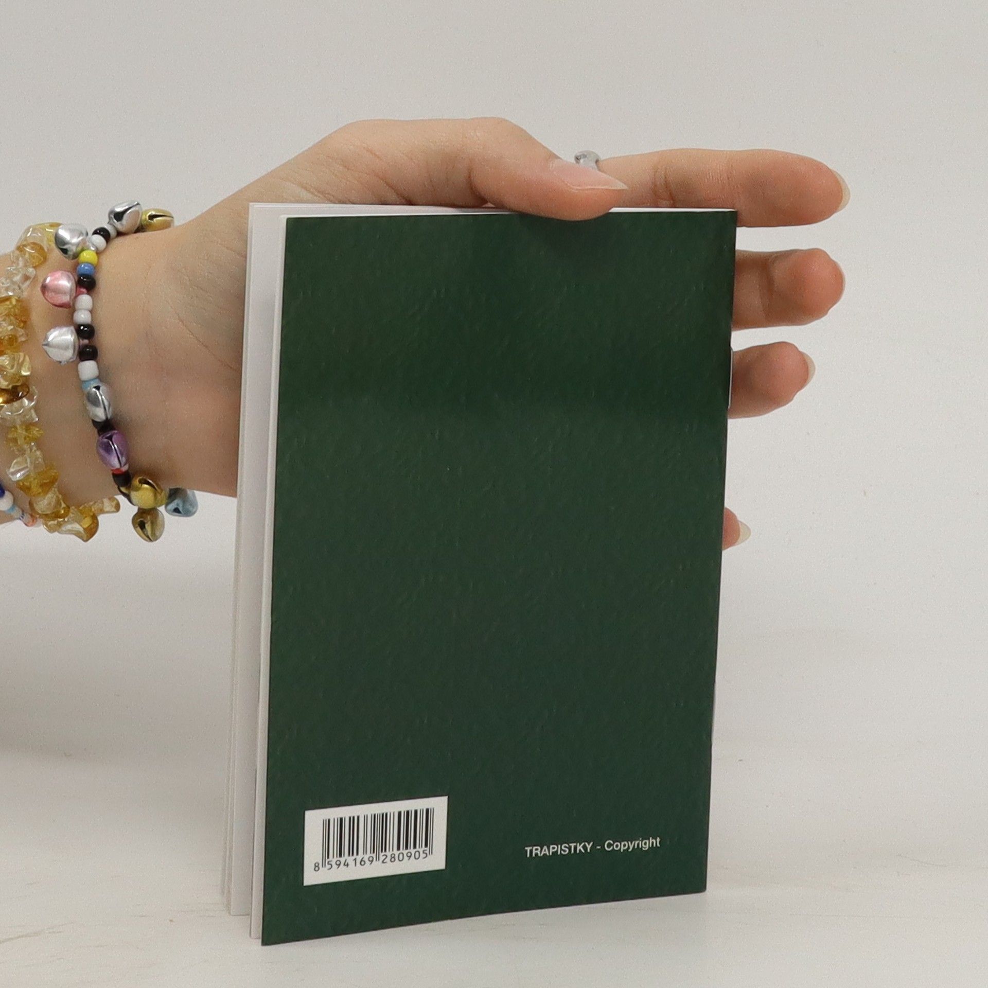 Autorenkollektiv Meditace. Texty vybrané z promluv, homilií a audiencí Svatého Otce Františka
