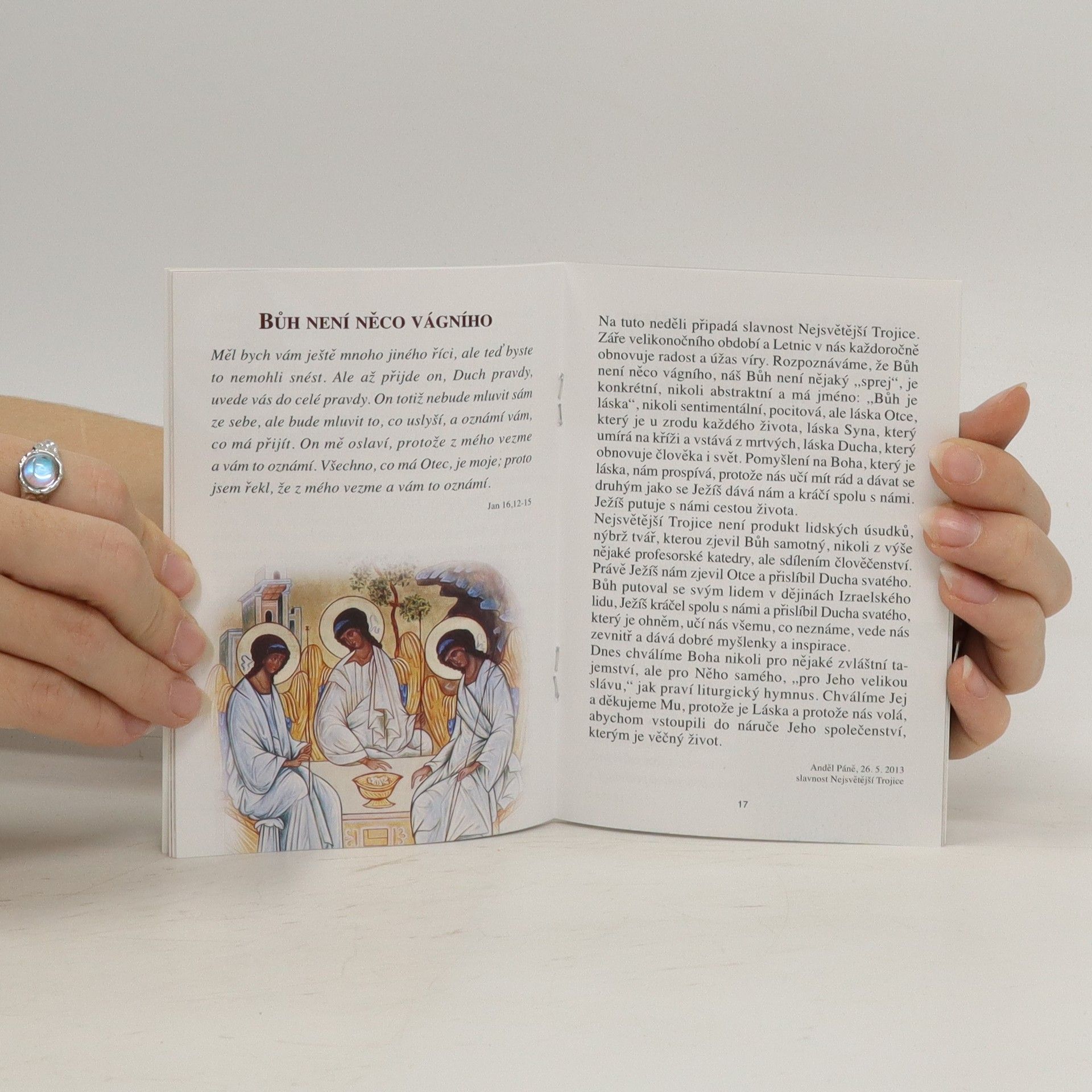 Autorenkollektiv Meditace. Texty vybrané z promluv, homilií a audiencí Svatého Otce Františka